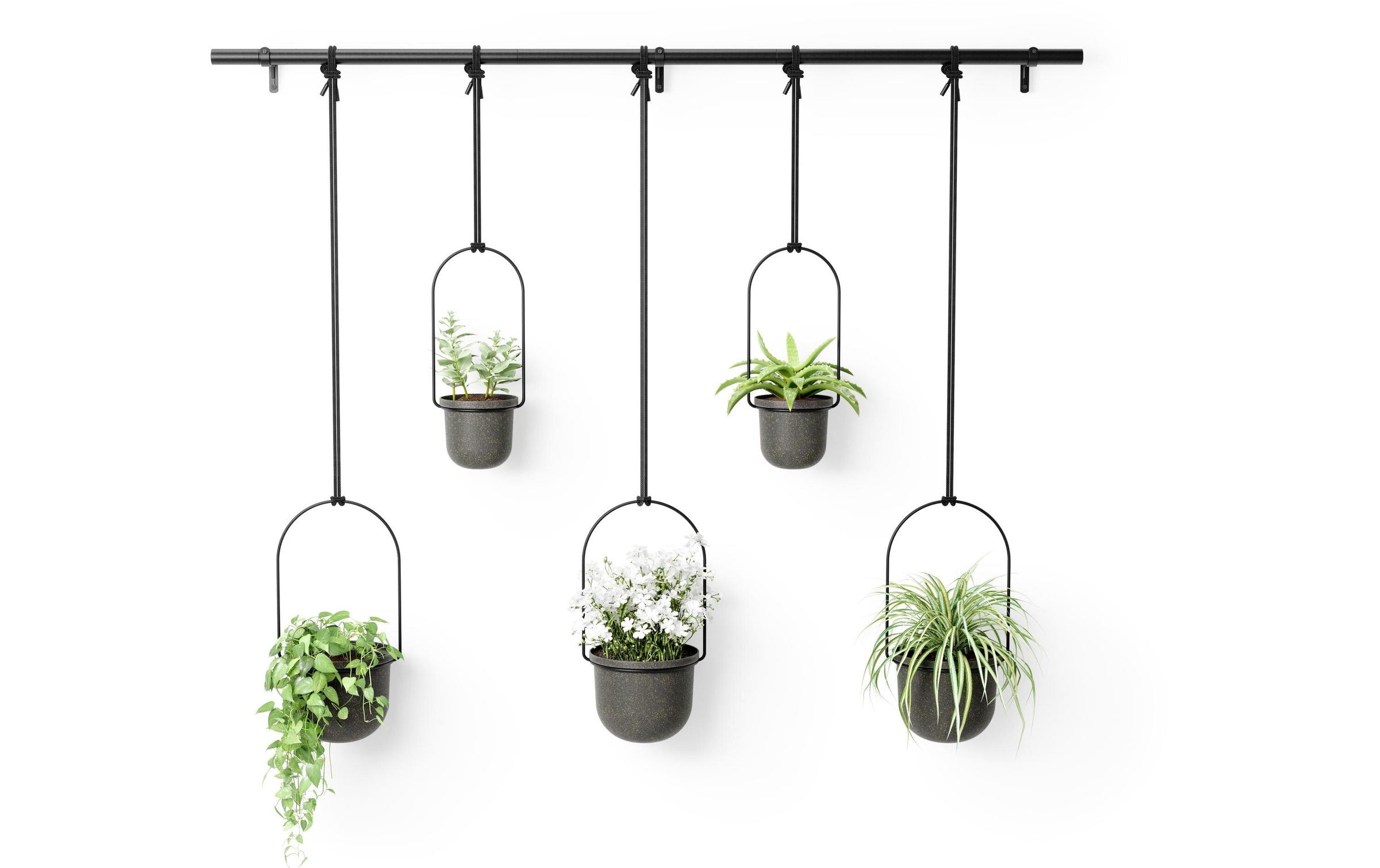 Umbra Blumentopf "Triflora, 5er Set, Schwarz"