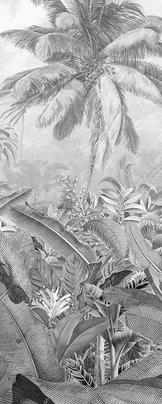 Image of Komar Vliestapete »Amazonia Black«, naturalistisch bei Ackermann Versand Schweiz