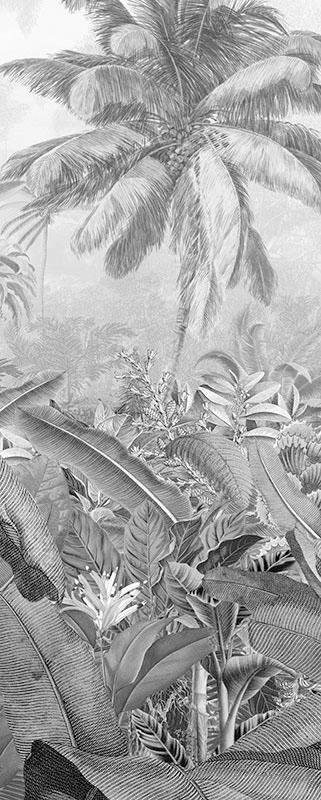 Image of Komar Vliestapete "Digitaldruck Vlies - Amazonia Black and White Panel" bedruckt glatt Wohnzimmer, Schlafzimmer