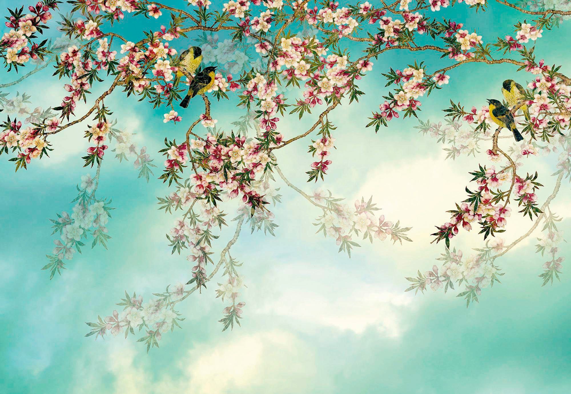Image of Komar Fototapete "Sakura - Grösse 368 x 254 cm" bedruckt glatt Wohnzimmer, Schlafzimmer