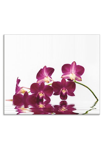 Küchenrückwand »Phalaenopsis Orchidee«, (1 tlg.)