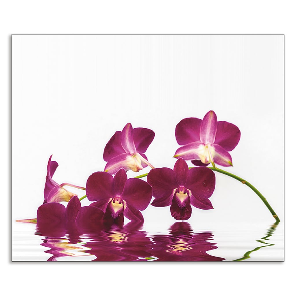 Artland Küchenrückwand »Phalaenopsis Orchidee«, (1 tlg.)