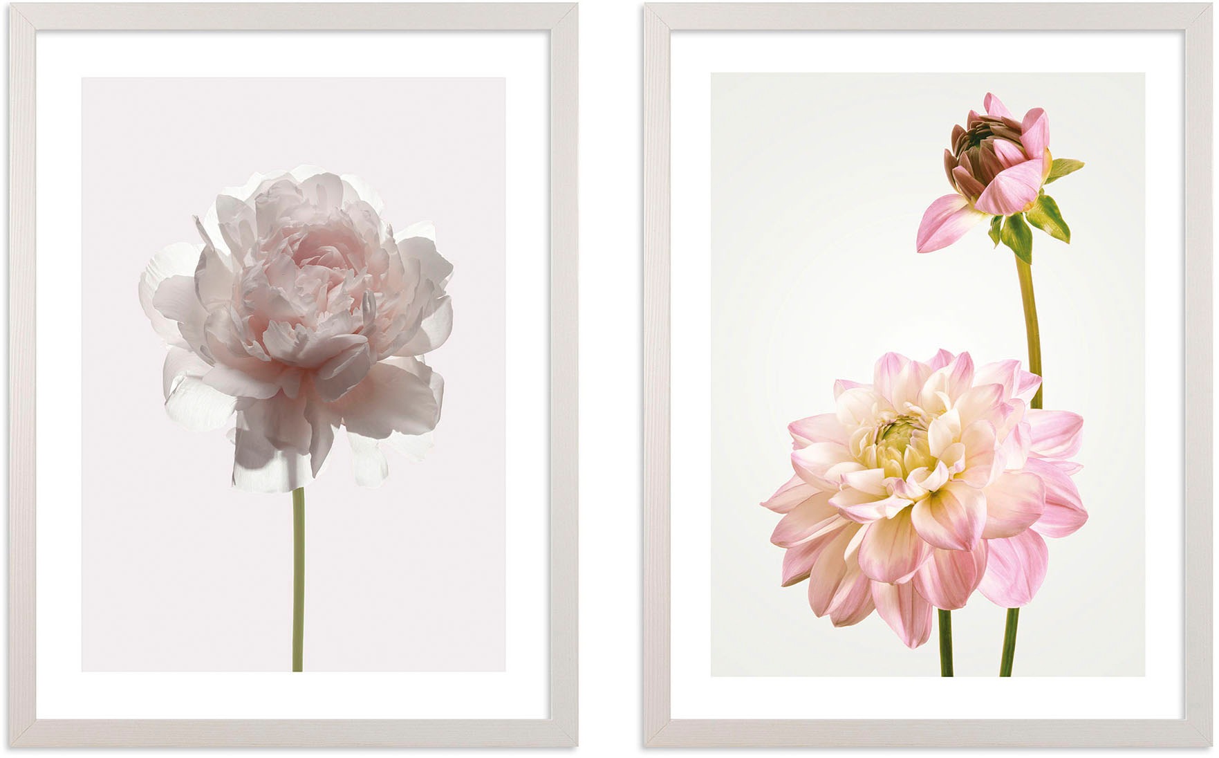 Image of Komar Bild mit Rahmen »Floral Delights«, (2 St.), Hochwertigen Echtholzrahmen. FSC zertifiziert, was eine nachhaltige Forstwirtschaft garantiert. bei Ackermann Versand Schweiz