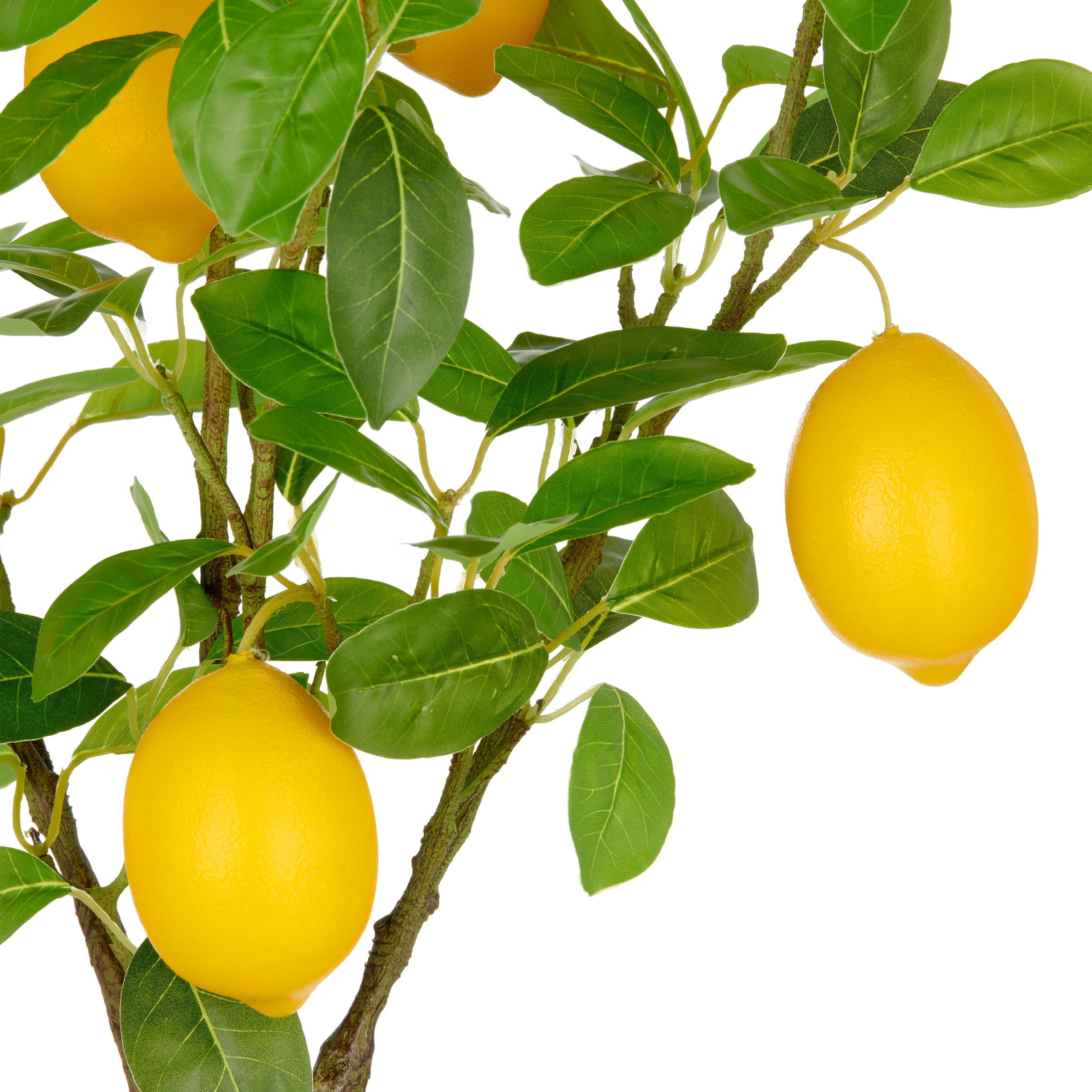 Creativ green Kunstbaum »Zitrone« mit detailgetreuer Gestaltung
