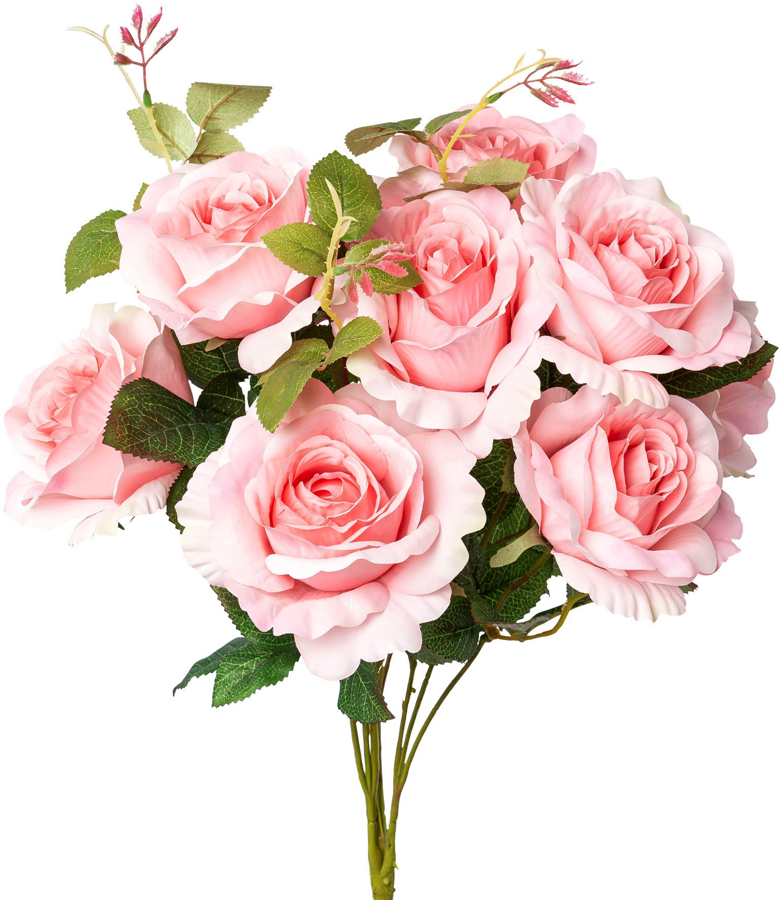 Image of Creativ green Kunstpflanze »Rosenstrauss«, (1 St.) bei Ackermann Versand Schweiz