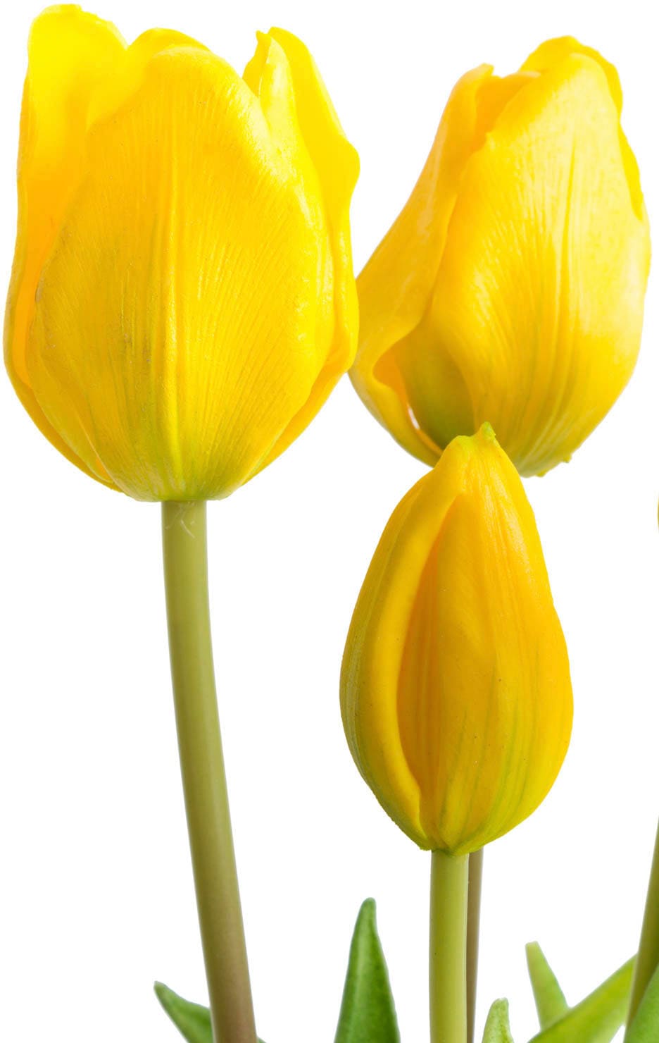 kaufen günstig Kunstblume »Tulpenbündel« Botanic-Haus
