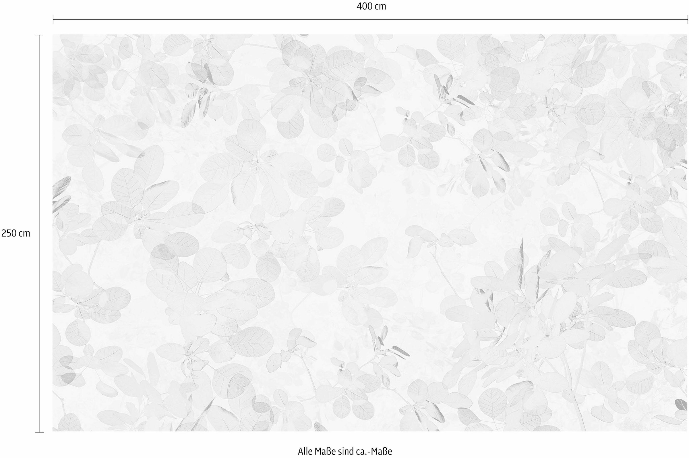 Komar Vliestapete »Digitaldruck Vlies -  Sheer Grey - Grösse 400 x 250 cm« bedruckt glatt Wohnzimmer, Schlafzimmer