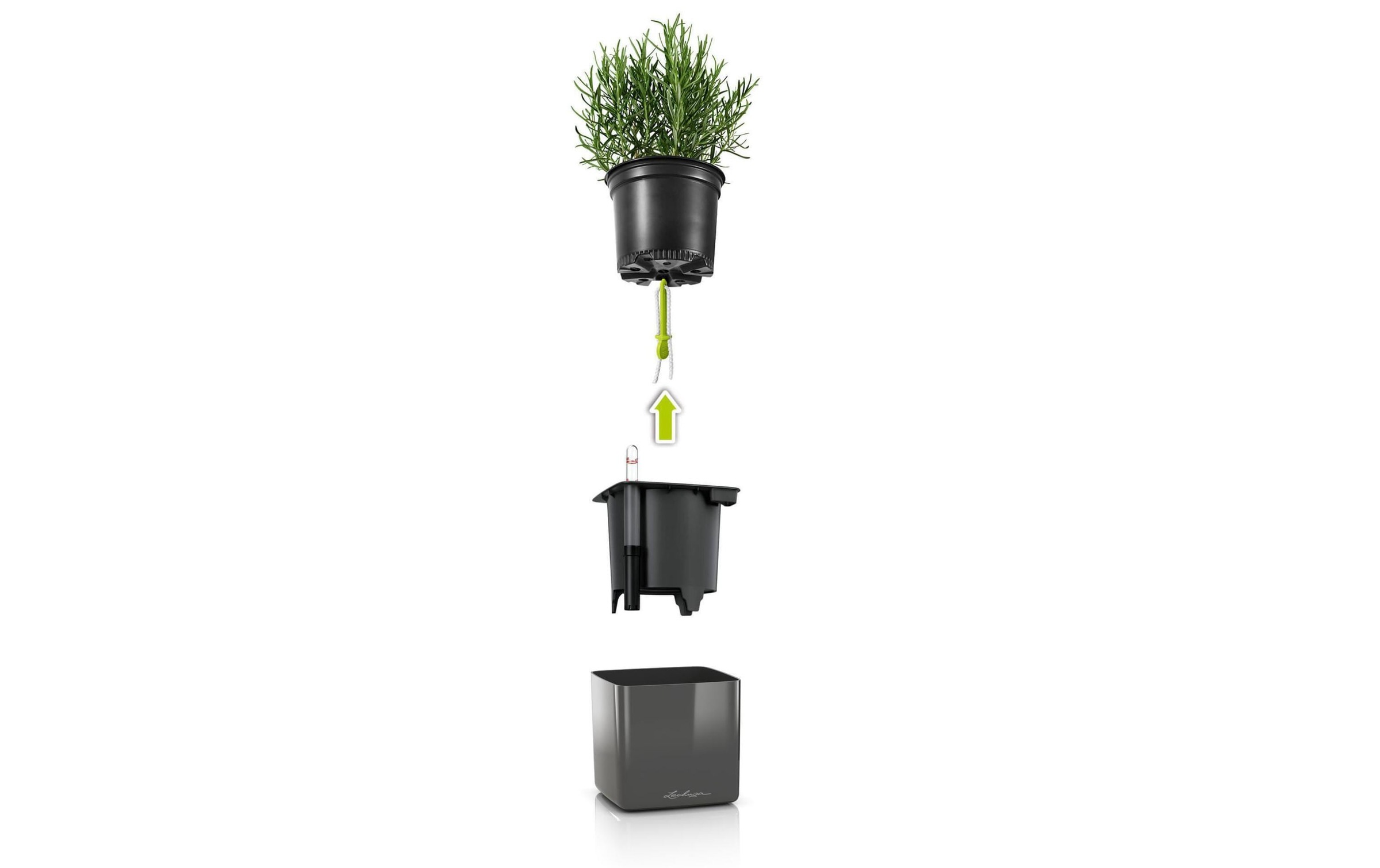 Pflanzkübel »CUBE Glossy 14 Weinrot«