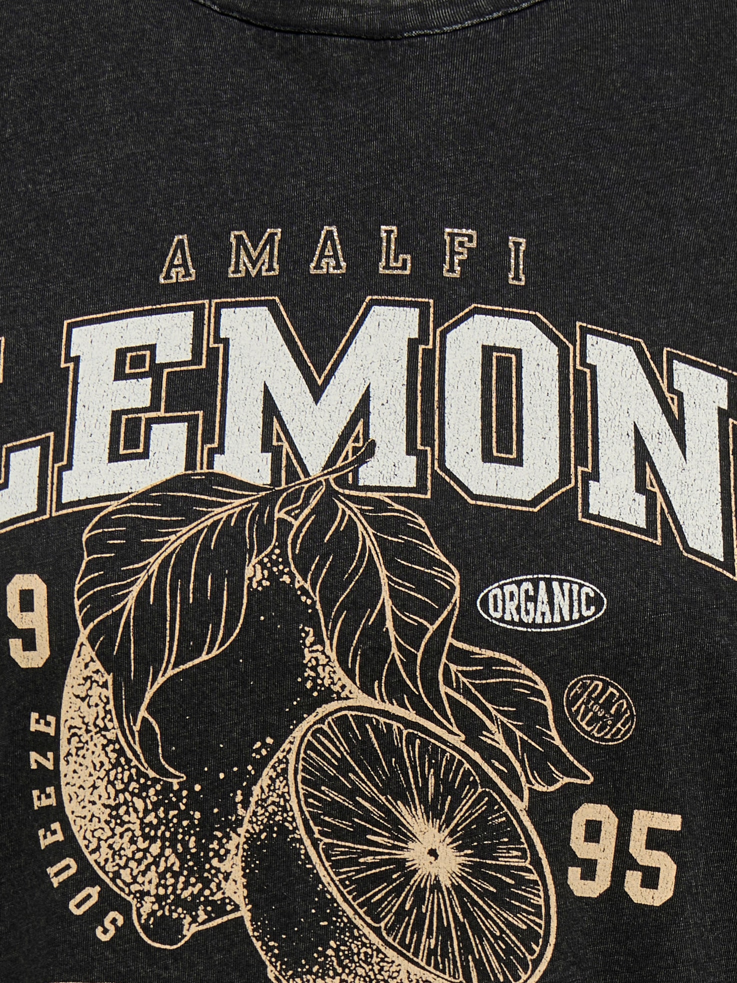 ONLY CARMAKOMA T-Shirt »CARLUCY LIFE REG S/S TOP JRS NOOS« Baumwolle, regular fit