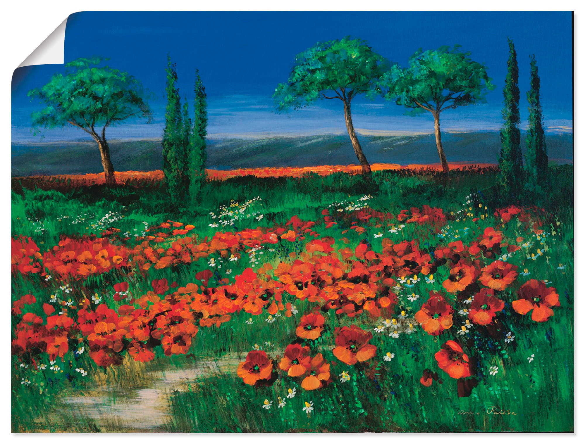 Image of Artland Wandbild »Primelfeld«, Blumen, (1 St.), in vielen Grössen & Produktarten -Leinwandbild, Poster, Wandaufkleber / Wandtattoo auch für Badezimmer geeignet bei Ackermann Versand Schweiz