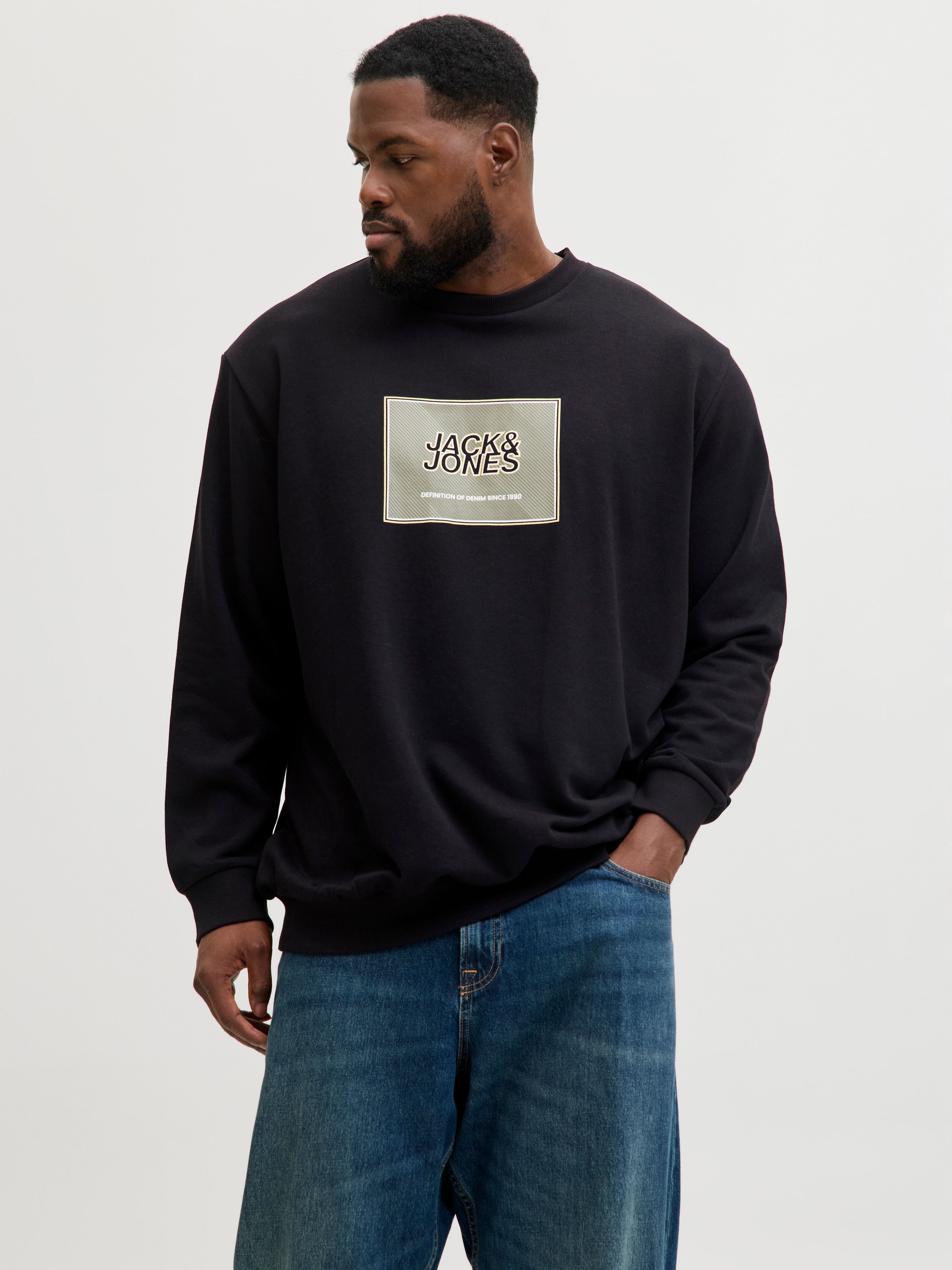 Image of Jack & Jones PlusSize Sweatshirt "JJRAIN SWEAT CREWNECK PLS"