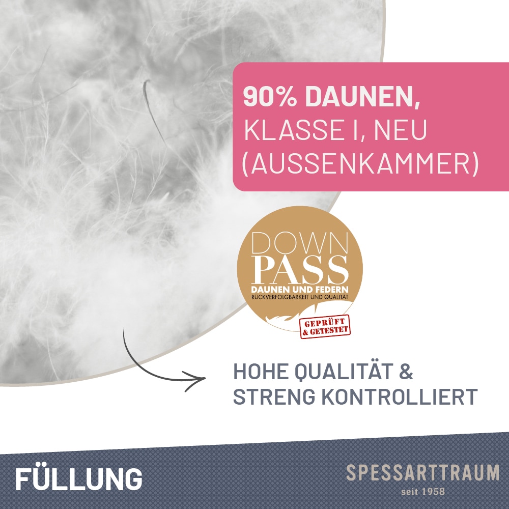 SPESSARTTRAUM 3-Kammer-Kopfkissen »Arosa 90% Daunen aussen, hergestellt in Deutschland« Füllung: 90% Daune & 10 % Federn 1 Stk. tlg. Kissenfüllung durch den Downpass zertifiziert, Made in Germany