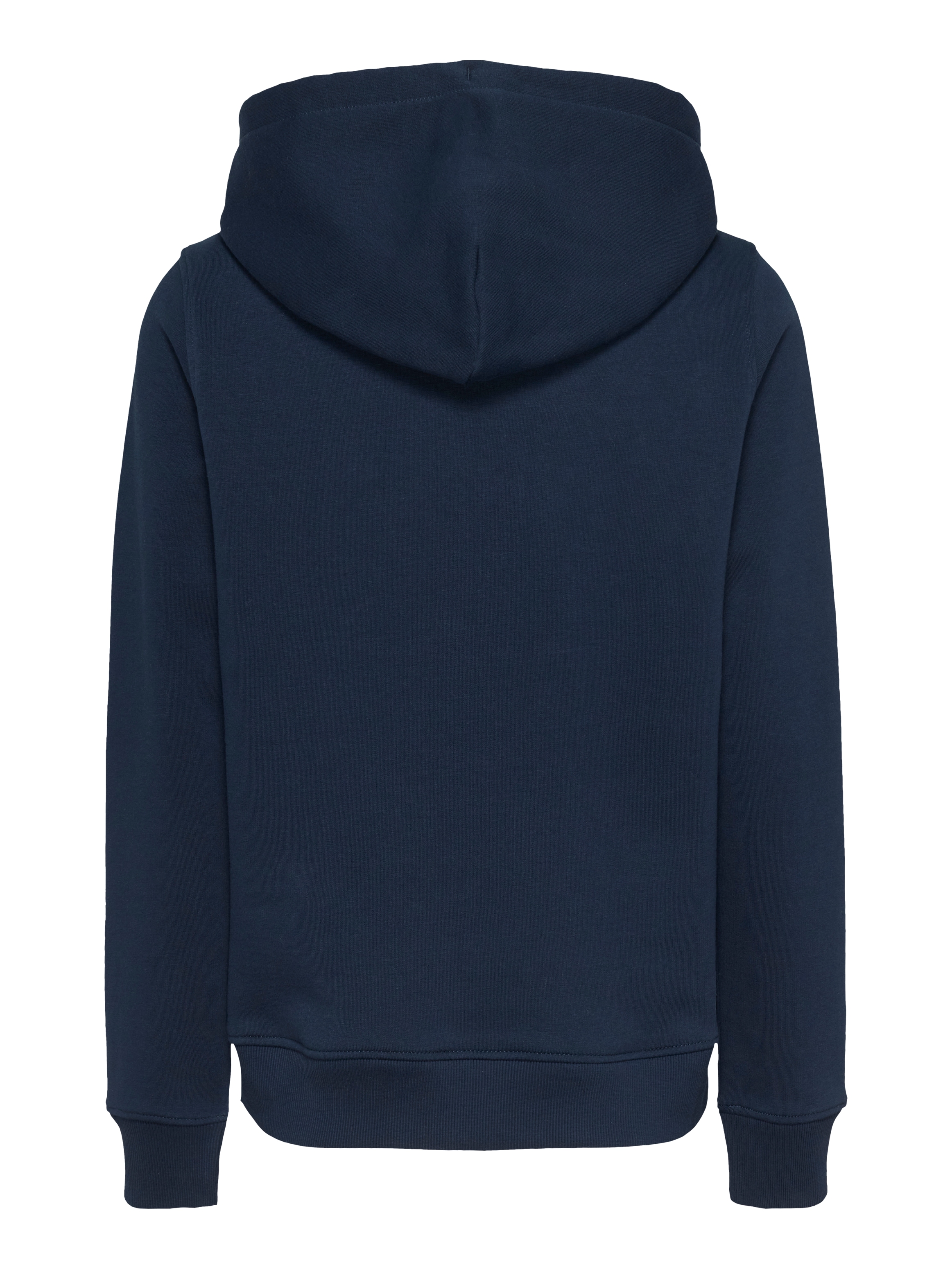 Tommy Jeans Curve Kapuzensweatshirt »TJW REG TONAL LINEAR HOODIE EXT«, in Grossen Grössen, Kapuze, Logostickerei