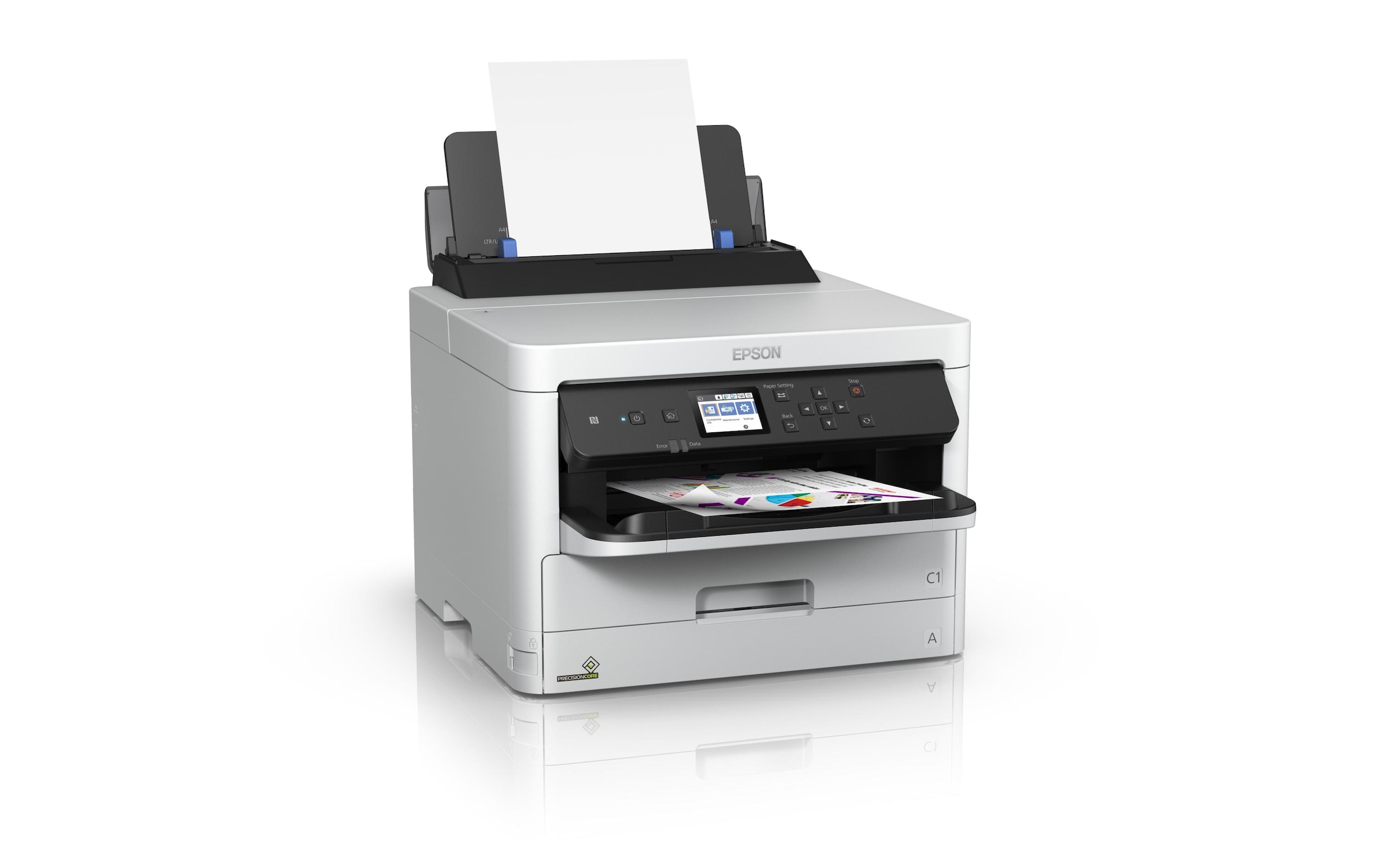 Epson Tintenstrahldrucker »WorkForce Pro WF-C5290DW«