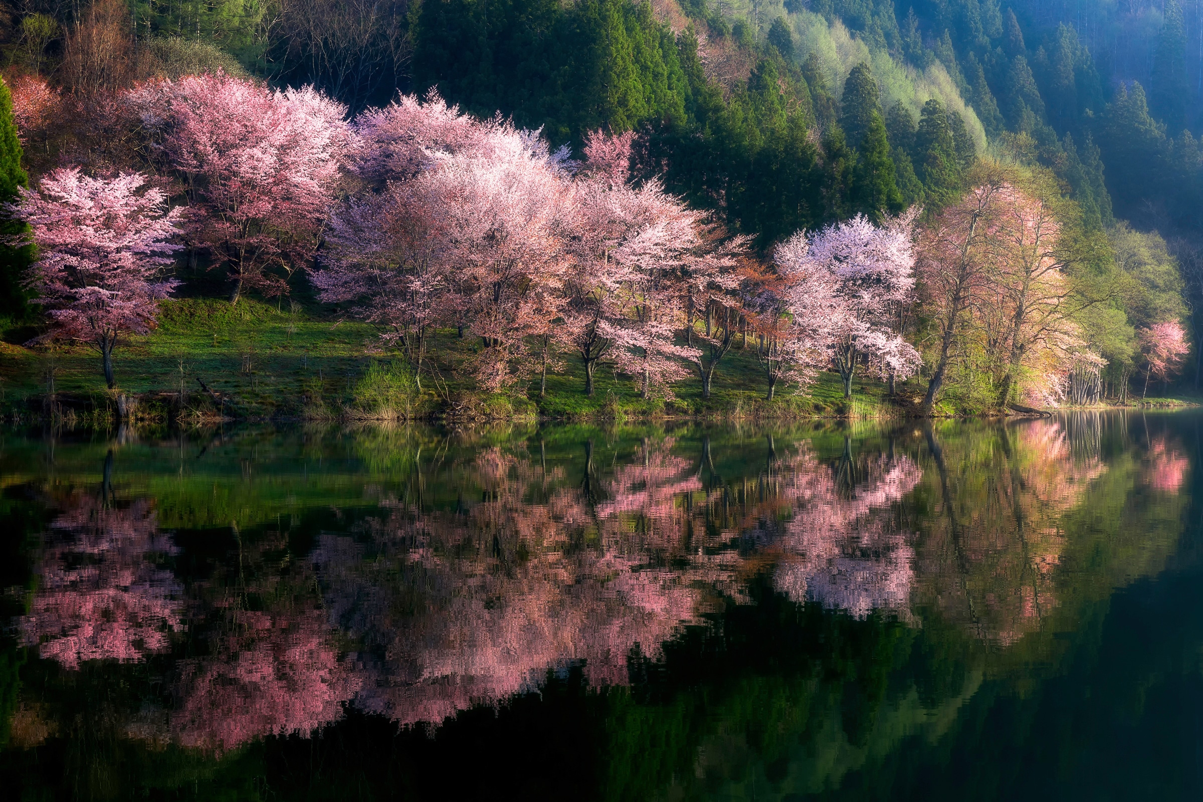 Papermoon Papier peint photo »Photo-Art  TAKESHI MITAMURA, EINE ANDERE WELT«