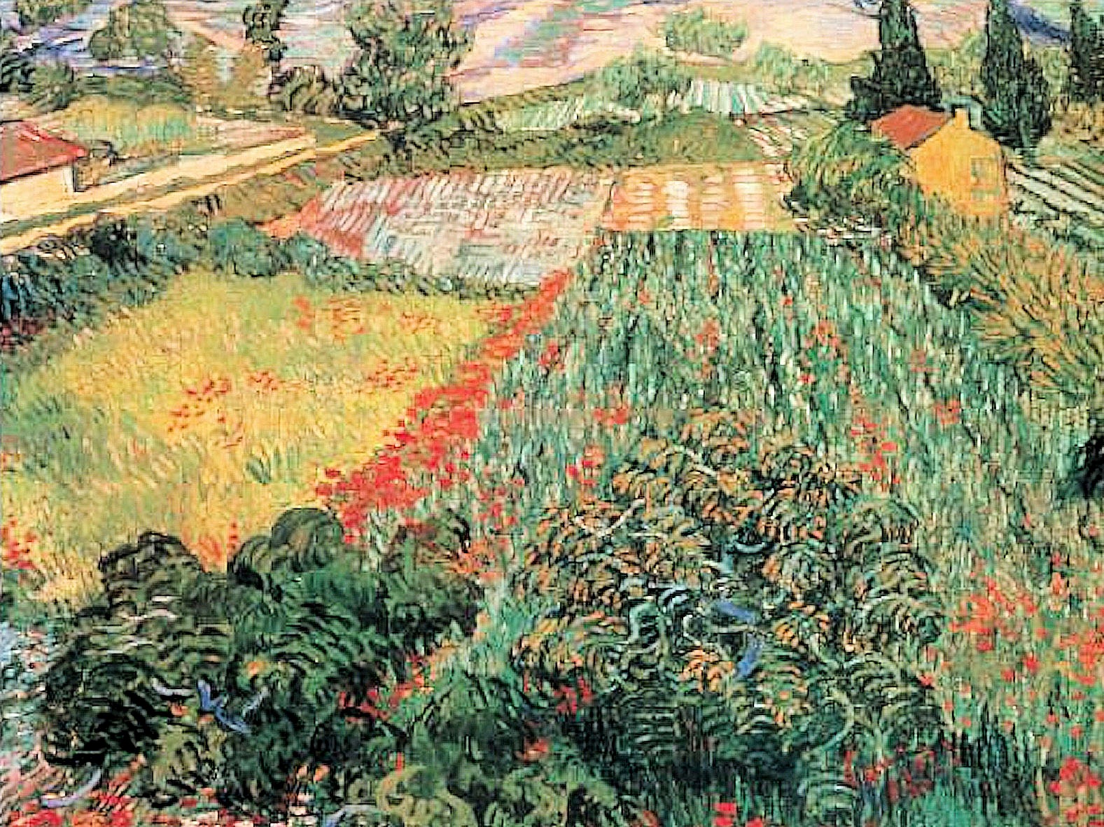 Image of my home Kunstdruck »VAN GOGH / Mohnblumenfeld«, (1 St.) bei Ackermann Versand Schweiz