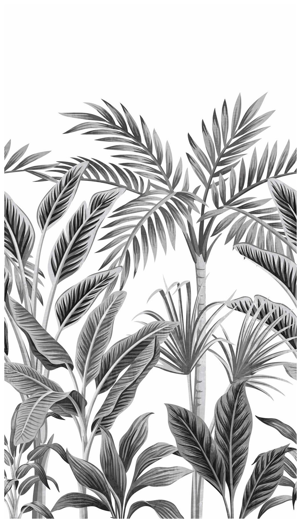 Image of Bodenmeister Fototapete »Dschungel Blätter schwarz weiss« bei Ackermann Versand Schweiz