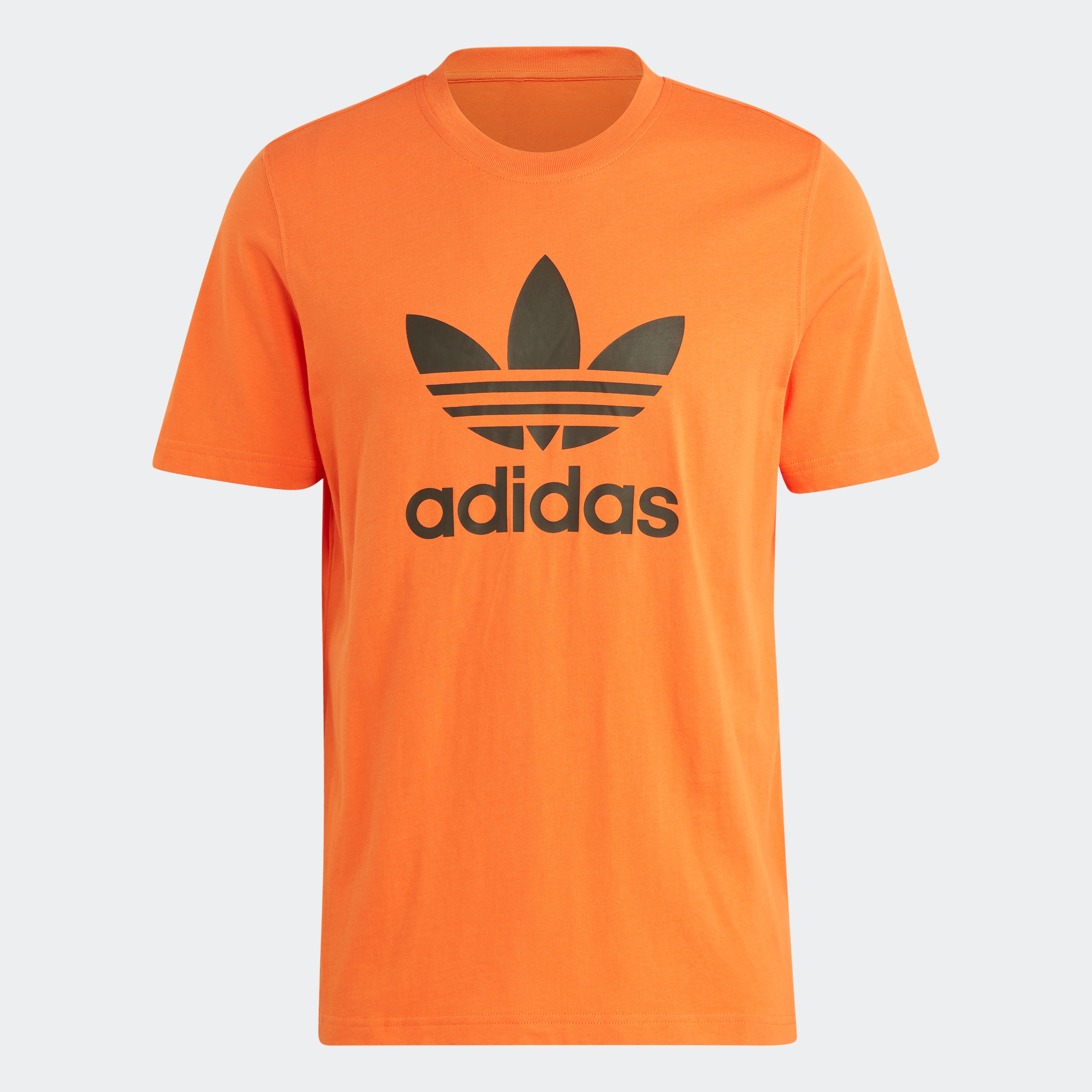 adidas Originals T-Shirt »TREFOIL T-SHIRT«