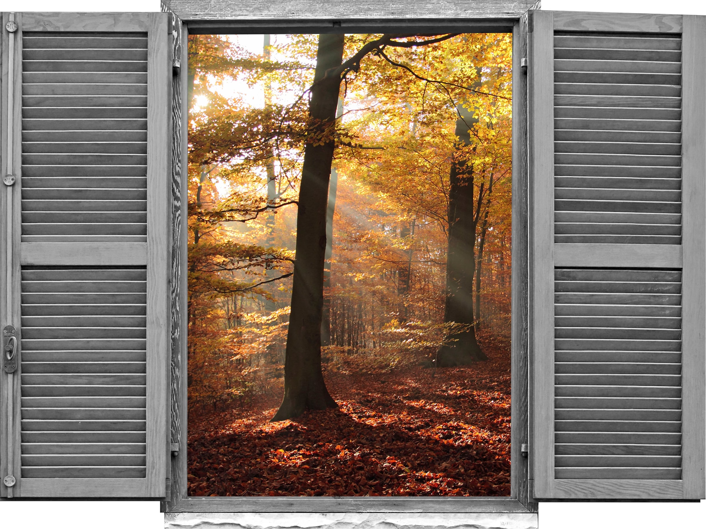 Image of queence Wandtattoo "Wald im Herbst" Wandsticker, Wandbild, selbstklebend, 3D, Fenster