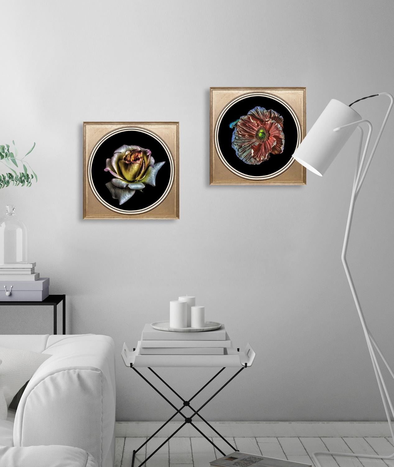 queence Acrylglasbild »Rose«, Blumen-Blumenbilder-Kunst-Pflanzen-Pflanzenbilder-Gemälde, Fine Art-Print in Galeriequalität
