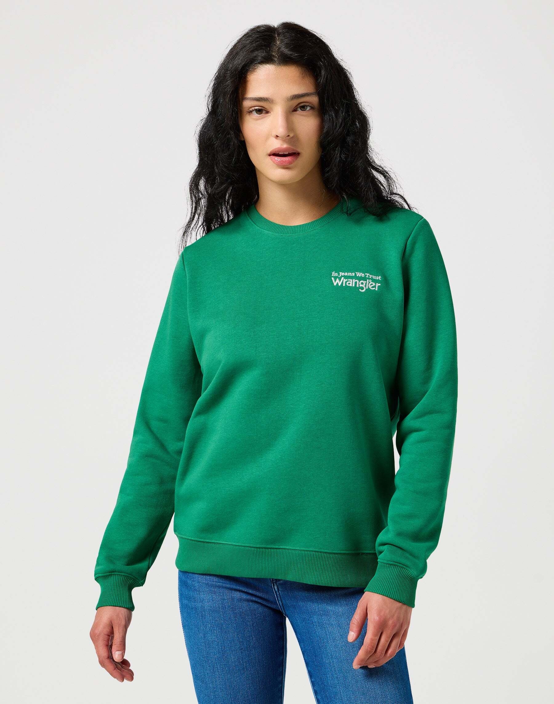 Strickpullover »Wrangler Pullover Regular Sweat«