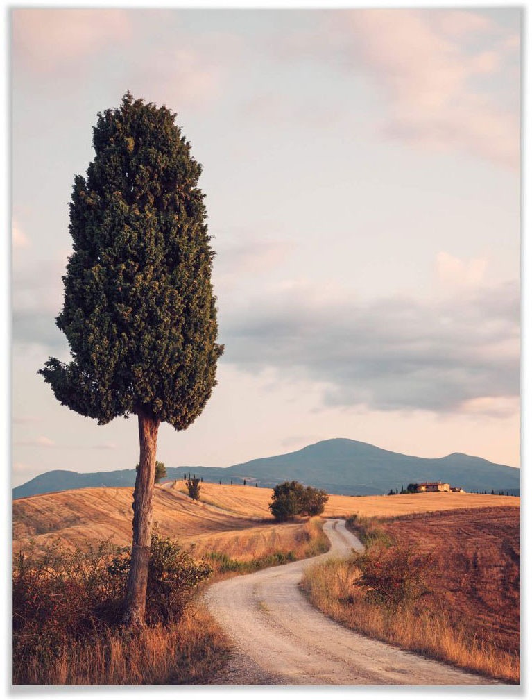 Image of Wall-Art Poster »Zypressenweg«, Landschaften, (1 St.), Poster, Wandbild, Bild, Wandposter bei Ackermann Versand Schweiz
