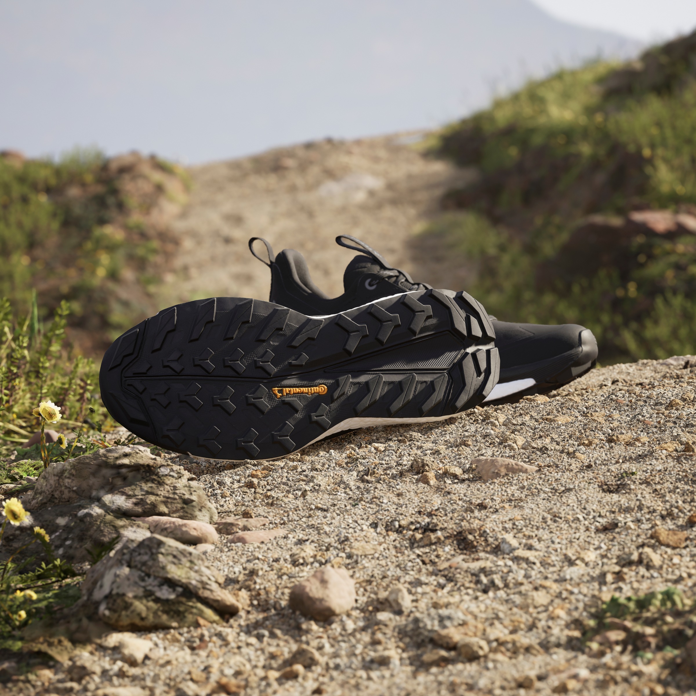 adidas TERREX Wanderschuh »TERREX FREE HIKER 2.0 LOW«