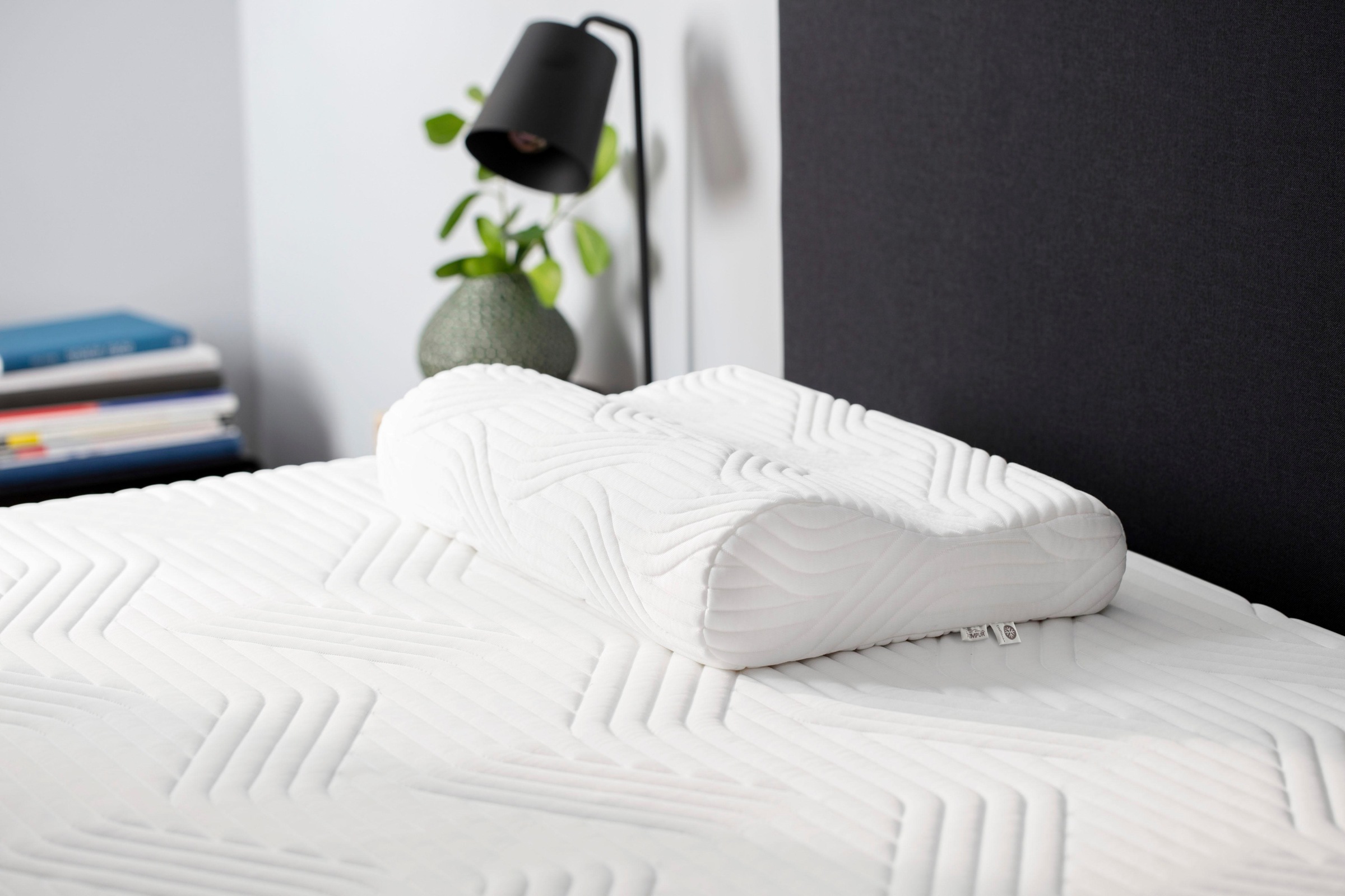 Image of Tempur Nackenstützkissen »Shape Schlafkissen S«, Füllung: TEMPUR® Schaum, Bezug: CoolTouch-Bezug, (1 St.), entlastet Kopf-, Nacken- und Schulterbereich bei Ackermann Versand Schweiz