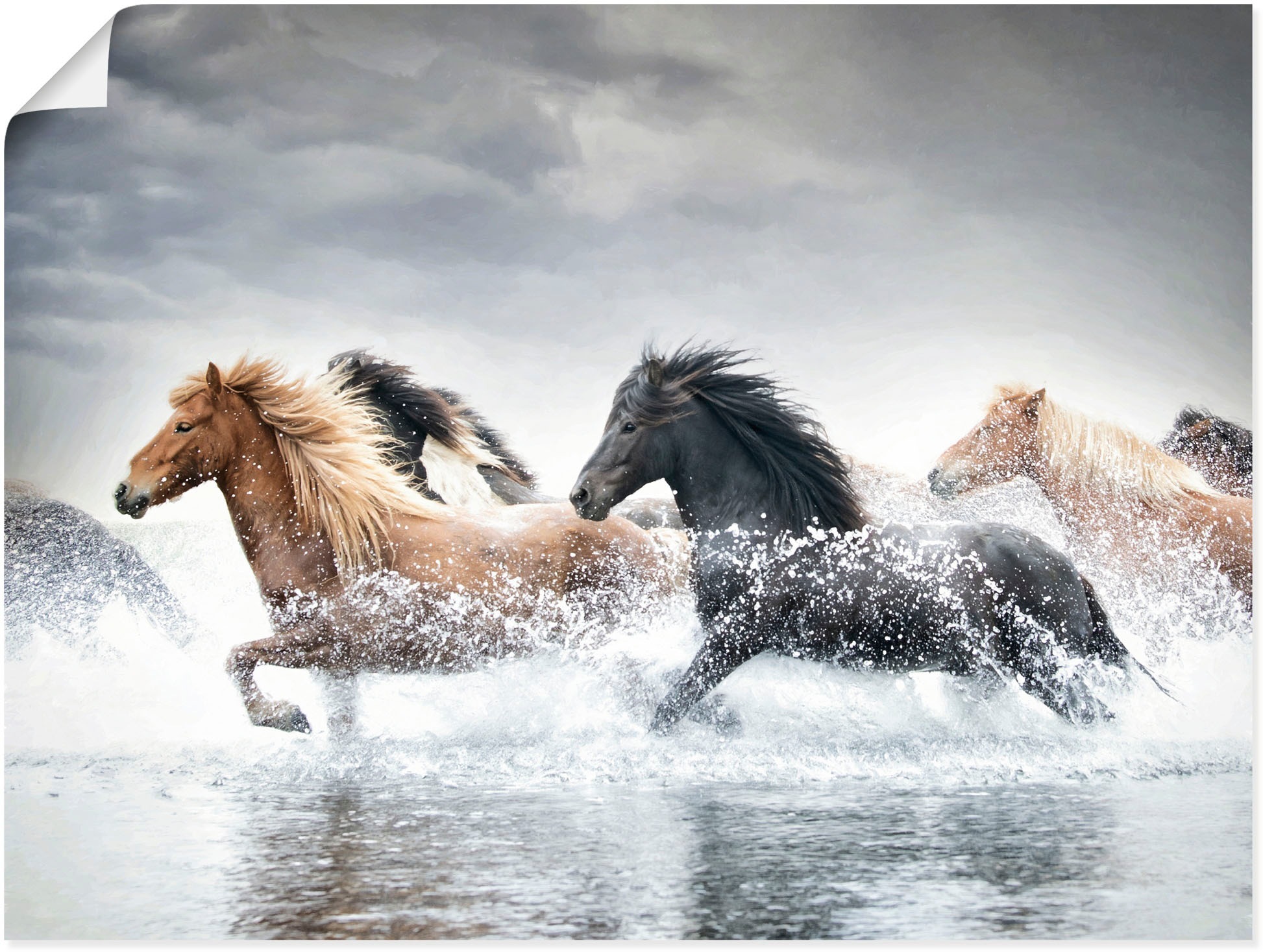 Image of Artland Wandbild »Pferderennen V«, Pferdebilder, (1 St.), in vielen Grössen & Produktarten - Alubild / Outdoorbild für den Aussenbereich, Leinwandbild, Poster, Wandaufkleber / Wandtattoo auch für Badezimmer geeignet bei Ackermann Versand Schweiz