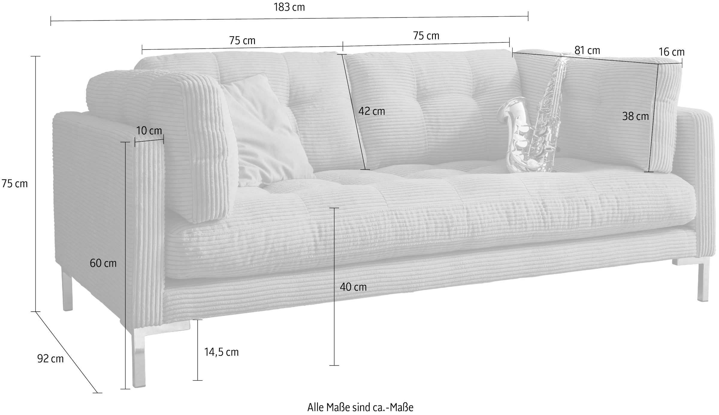 Trends by HG 2-Sitzer »Landau«, in Cord-Stoff mit Metallfuss
