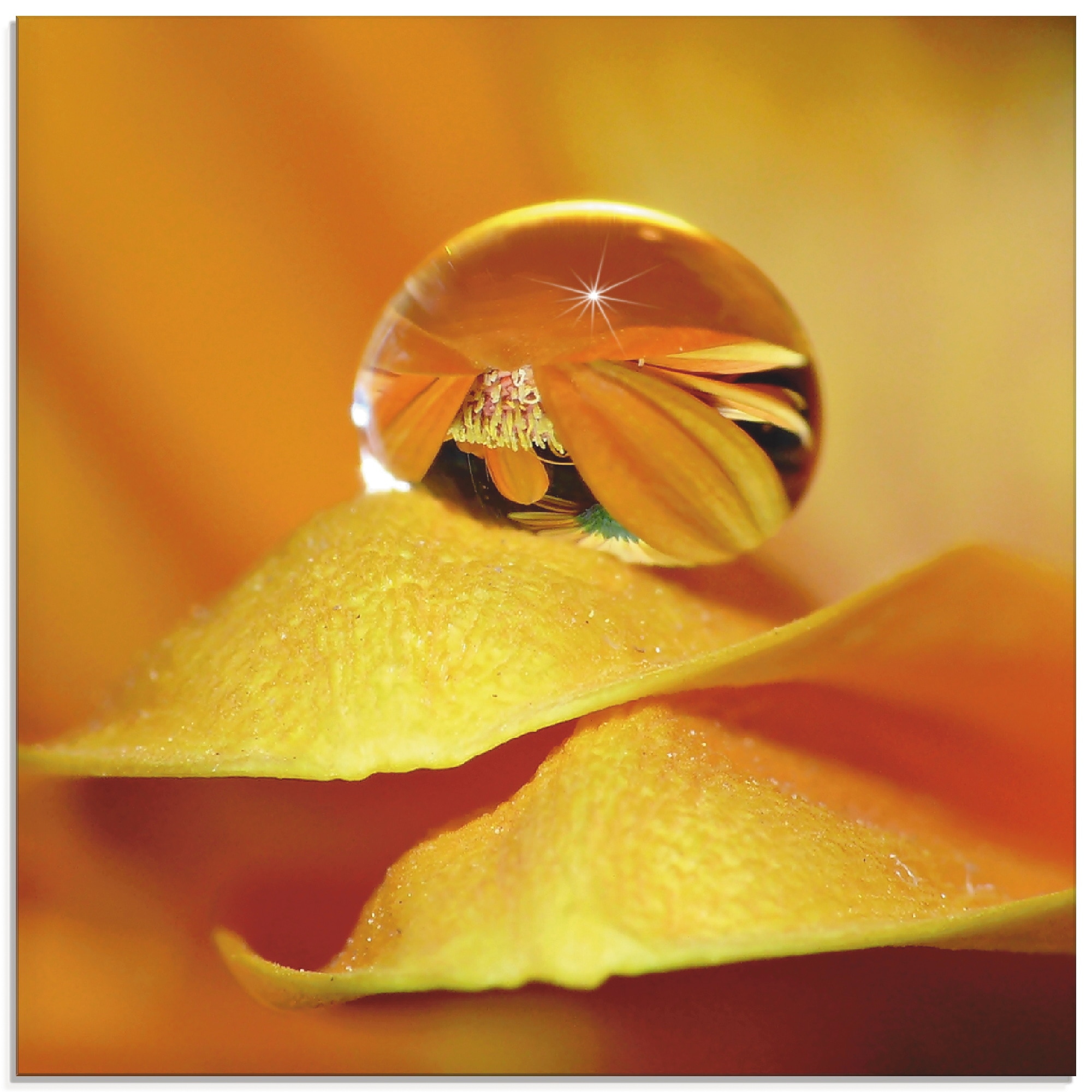 Image of Artland Glasbild "Wassertropfen II" Blätter 1 Stk. tlg. in verschiedenen Grössen