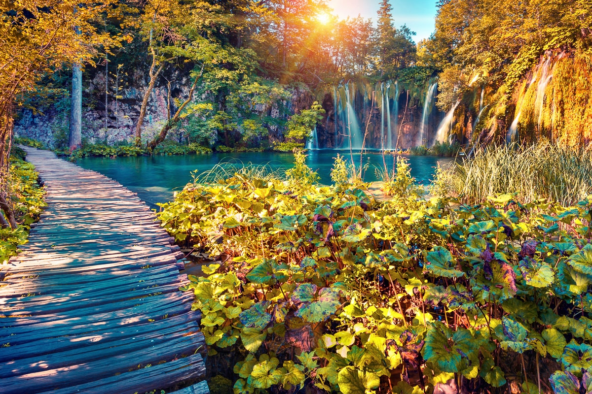 Image of Papermoon Fototapete "Kirschblüten mit Fluss"