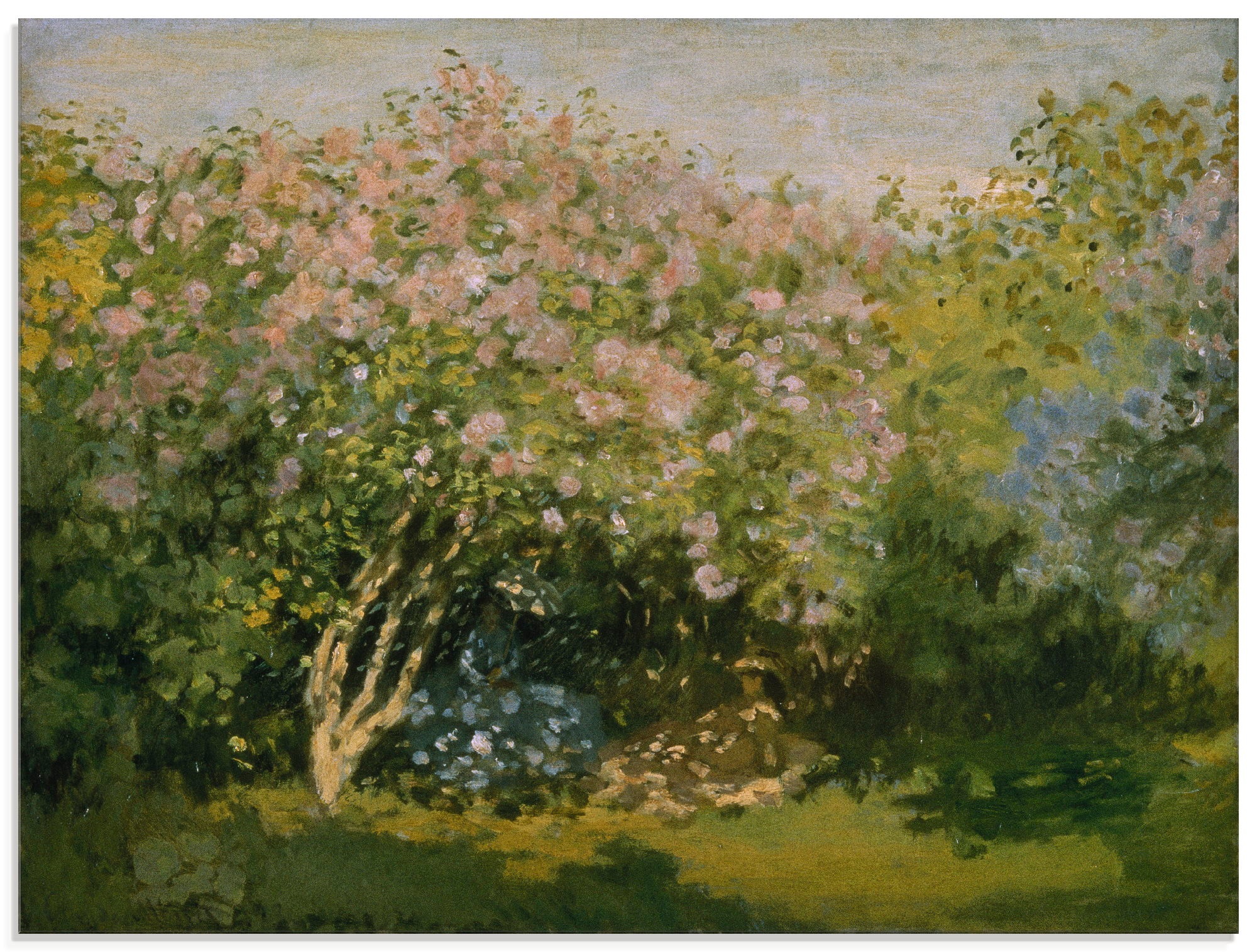 Image of Artland Glasbild »Blühender Flieder in der Sonne. 1873«, Blumen, (1 St.) bei Ackermann Versand Schweiz