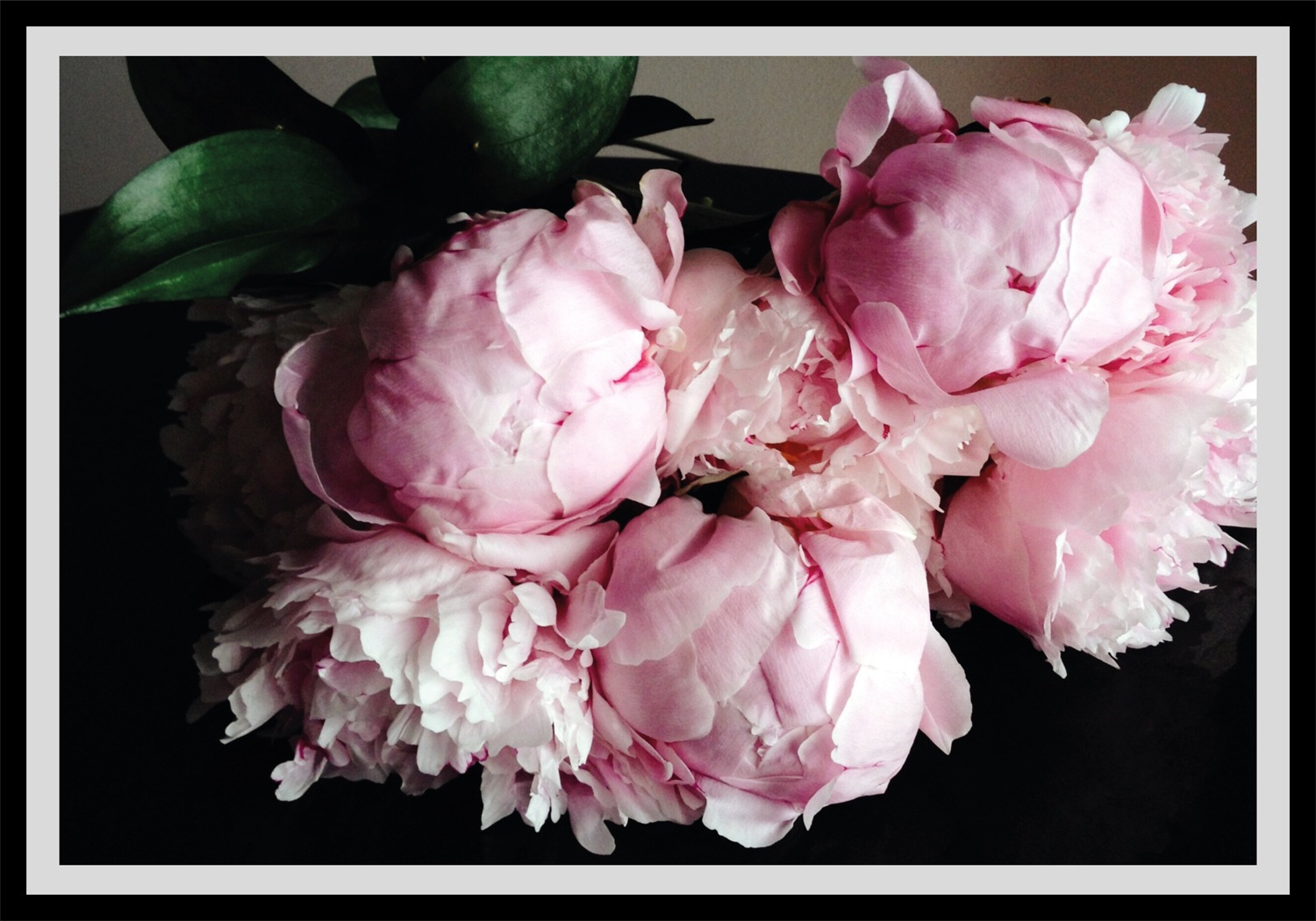 queence Bild »Gunni« Blumen | Foto | Kunst | Pflanzen | Pflanzenbilder gerahmt, Rosen