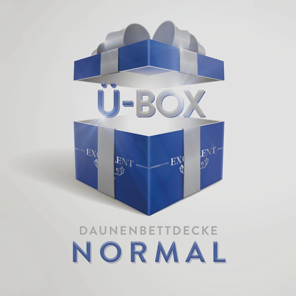 Image of Excellent Daunenbettdecke "Überraschungsbox" normal Füllung 90Daunen10Federn Bezug Baumwolle 1 Stk. tlg. absoluter Sonderpreis, wegen Lagerräumung, Solange der Vorrat reicht