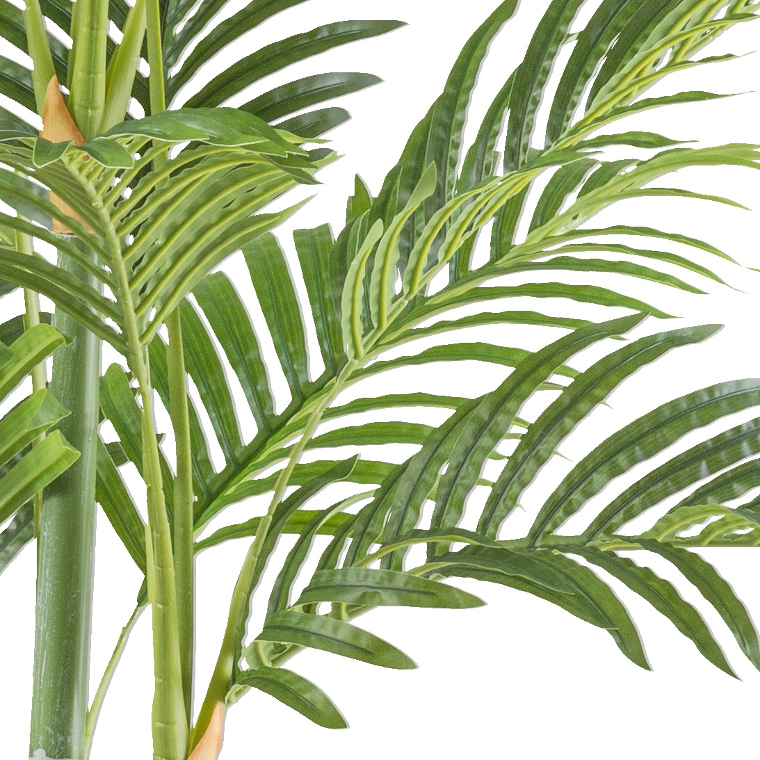 Creativ green Kunstpalme »Bambuspalme« mit zahlreichen Wedeln