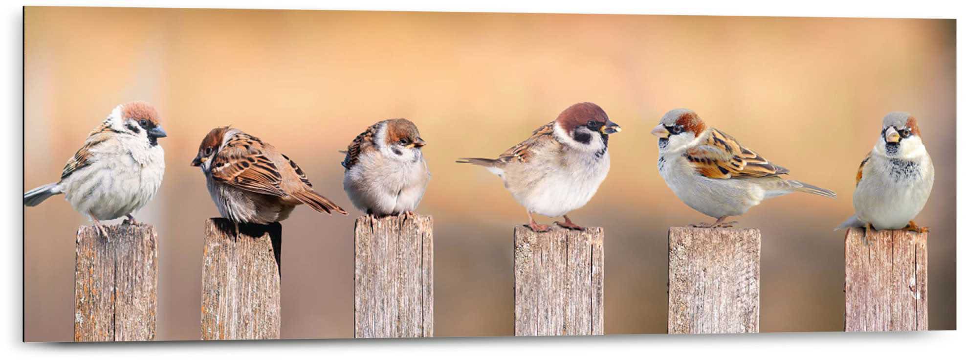 Holzbild »Deco Panel 30x90 Bird Family«