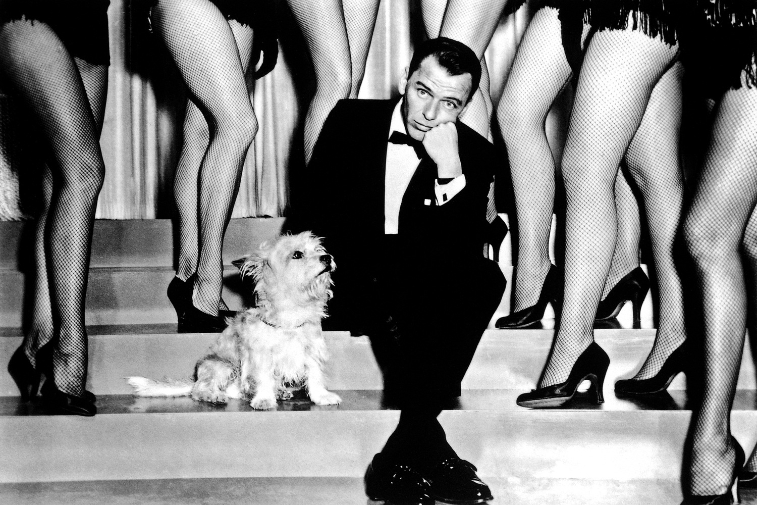 queence Acrylglasbild »Frank Sinatra«, Schwarz-Weiss-Mann-Stars-Hund-Portrait-Foto-Film-Filmfiguren-Filmszene, Fine Art-Print in Galeriequalität