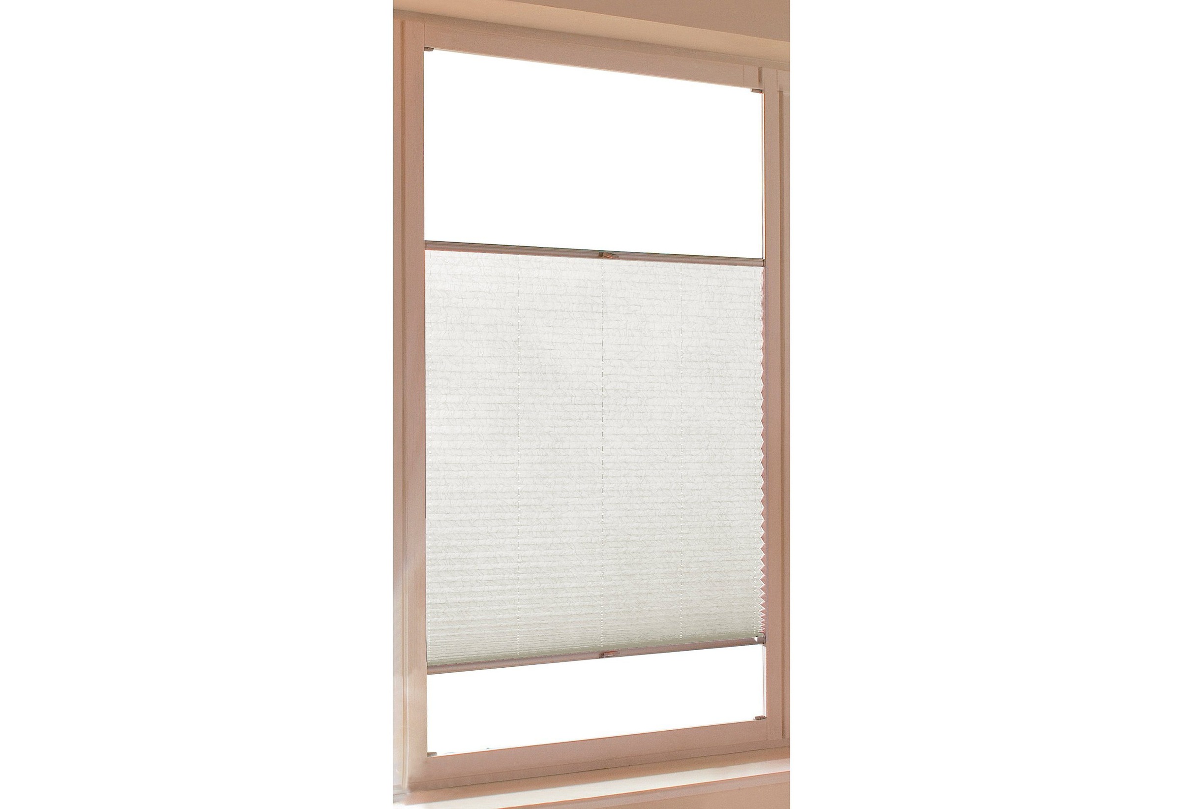 Image of sunlines Plissee nach Mass »Emma«, verdunkelnd, energiesparend, mit Bohren, verspannt bei Ackermann Versand Schweiz
