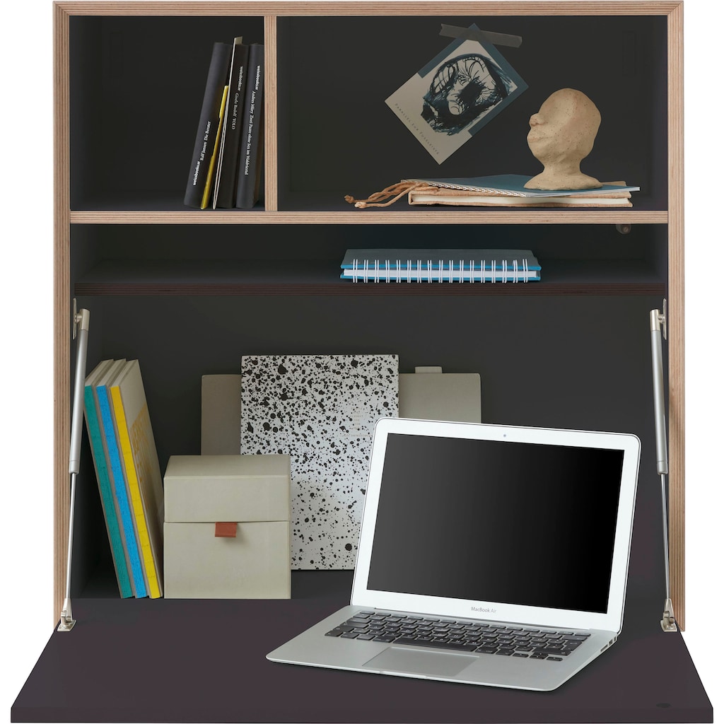 Müller SMALL LIVING Regalelement »VERTIKO PLY FIVE HOME OFFICE«
