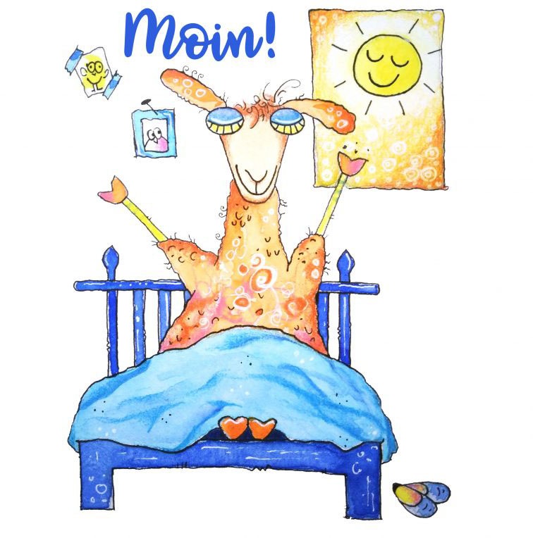 Image of Wall-Art Wandtattoo »Guten Morgen Lama - Moin«, (1 St.) bei Ackermann Versand Schweiz