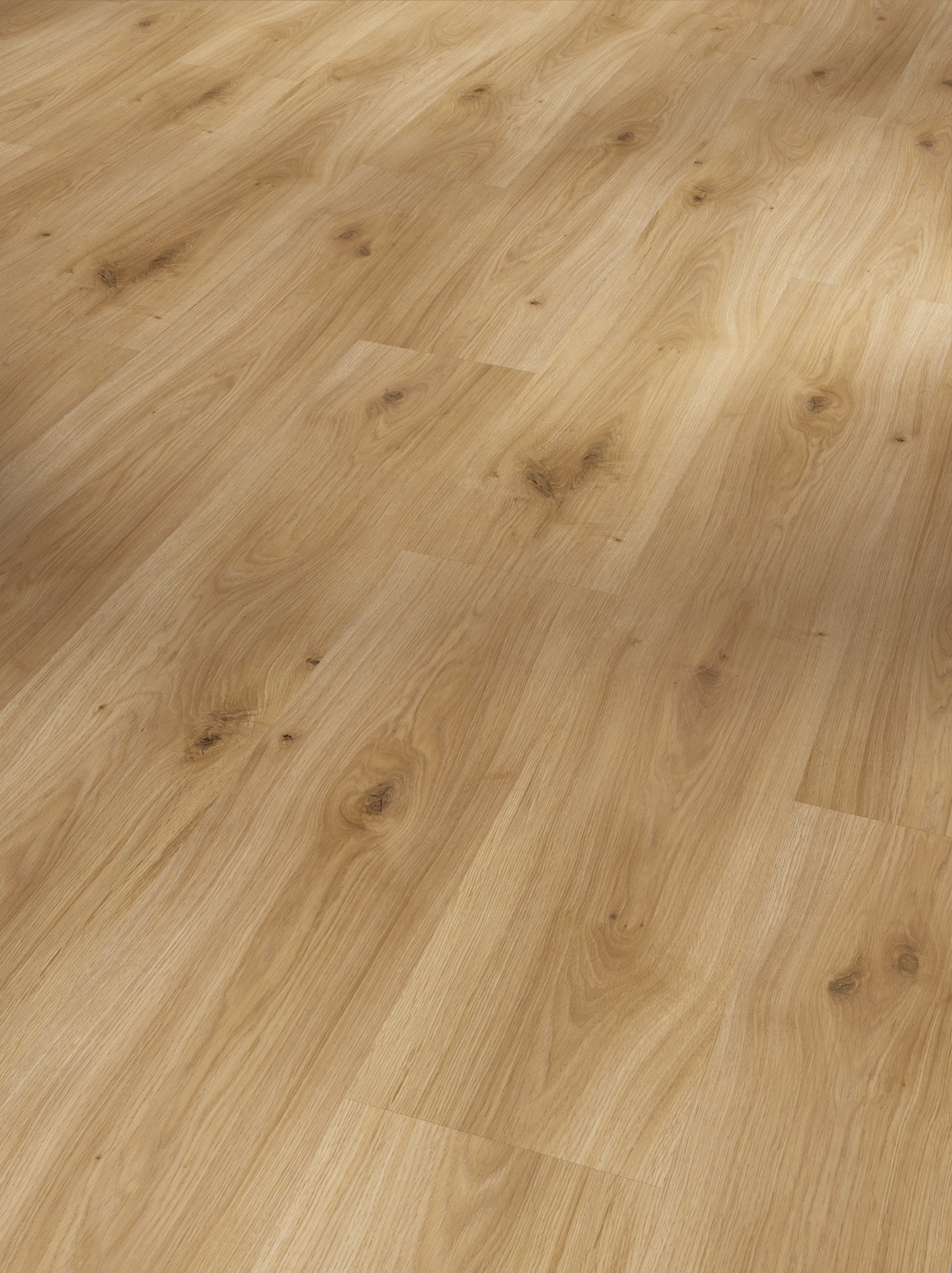 Image of PARADOR Laminat »Basic 400 - Eiche Horizont«, (Packung), ohne Fuge, 1285 x 194 mm, Stärke: 8 mm bei Ackermann Versand Schweiz