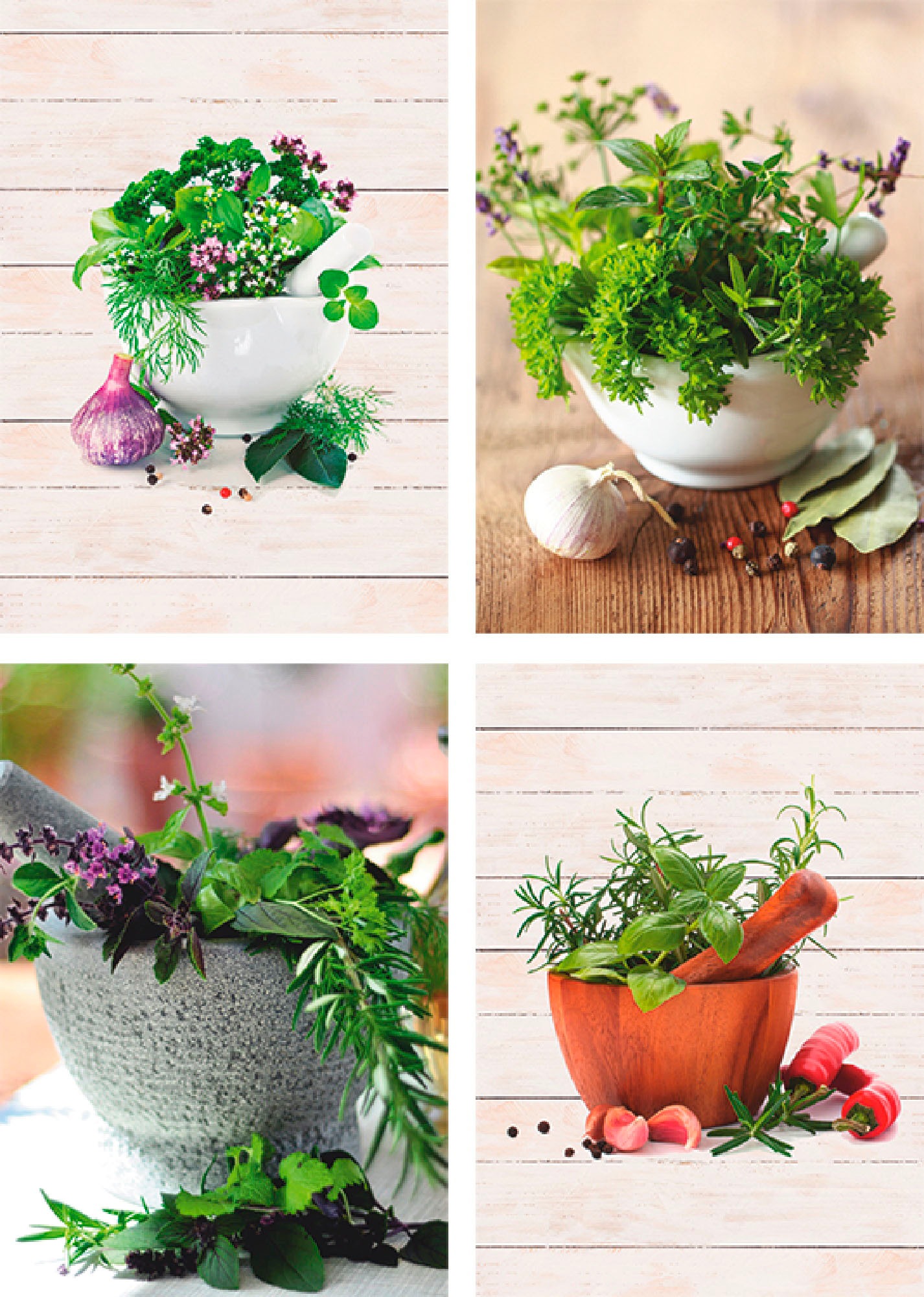 Image of Artland Poster »Frische Kräuter und Gewürze«, Arrangements, (4 St.), Poster, Wandbild, Bild, Wandposter bei Ackermann Versand Schweiz