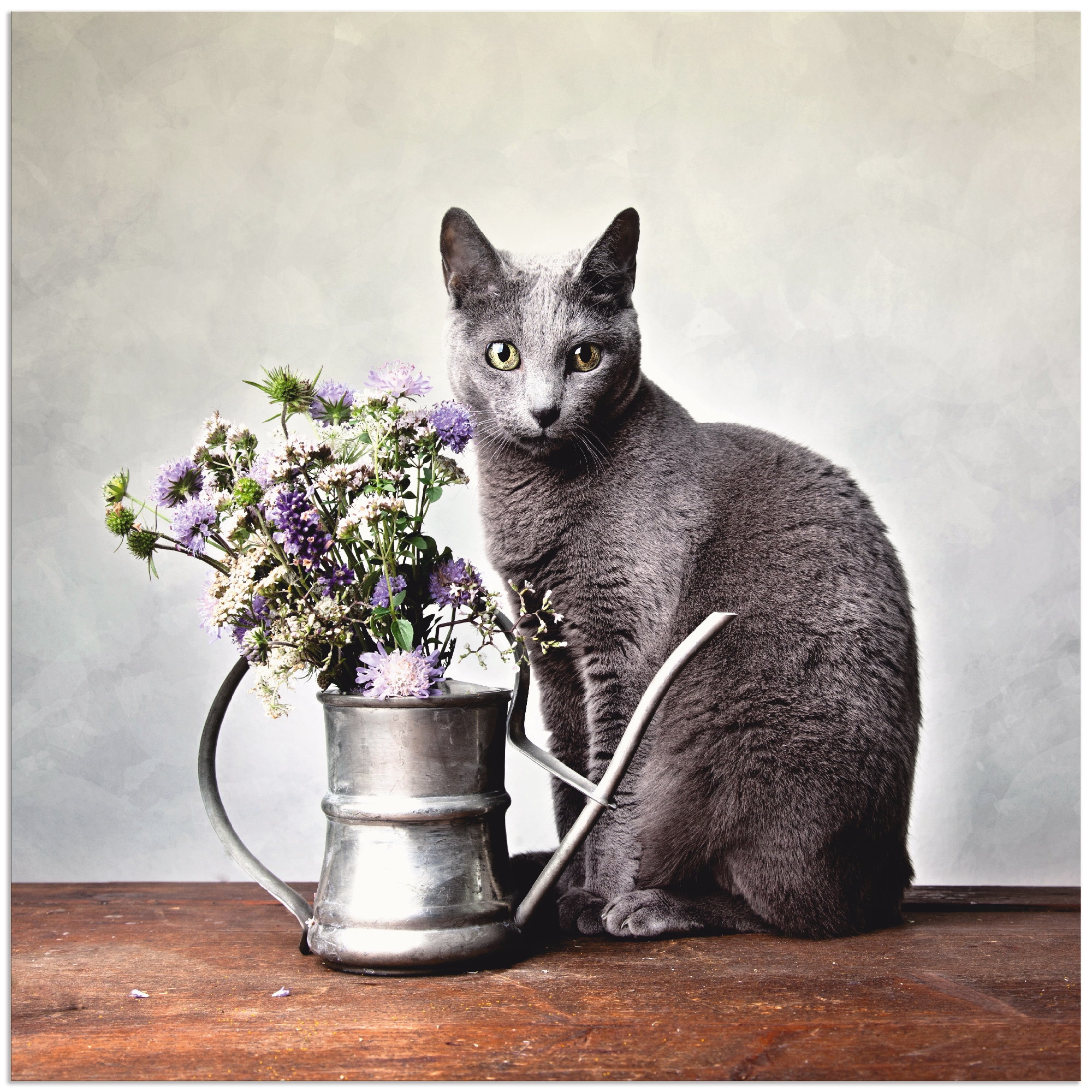 Image of Artland Alu-Dibond-Druck "Katze mit Deko" Haustiere 1 Stk. tlg. für Innen- und Aussenbereich geeignet, Outdoorbild