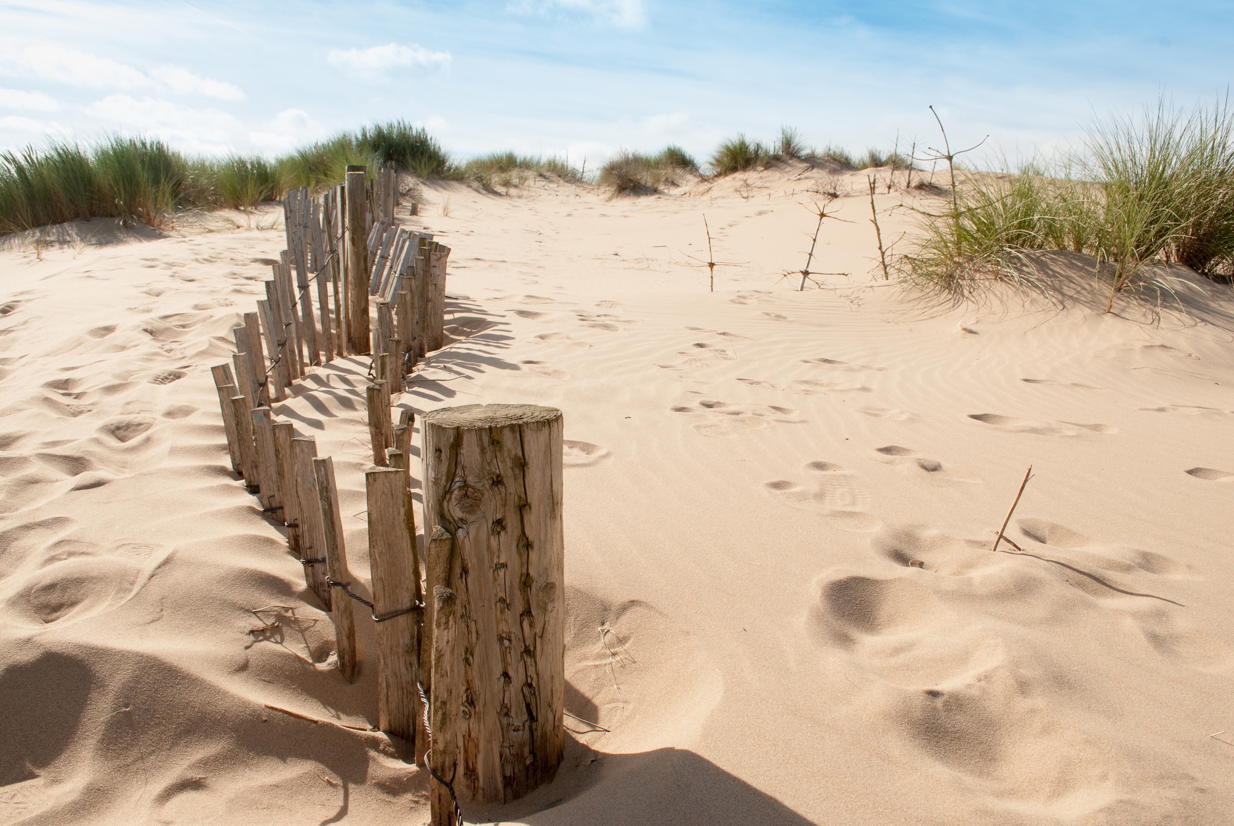 Image of Papermoon Fototapete "Dunes Sandy Beach" glatt