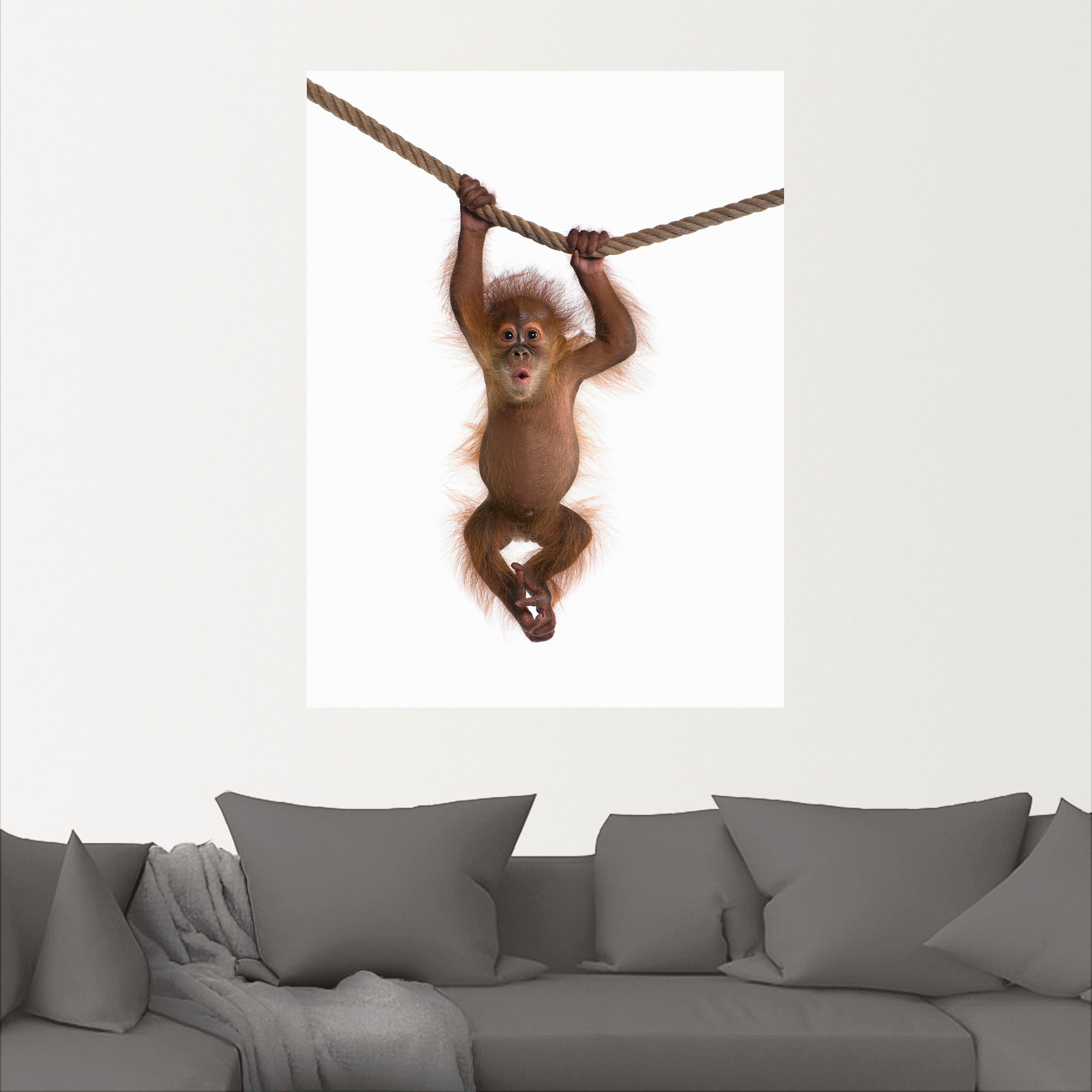 Artland Wandbild »Baby Orang Poster confortablement als (1 Utan St.), Wandaufkleber Leinwandbild, oder II«, hängt Alubild, Wildtiere, acheter an Grössen Seil versch. in