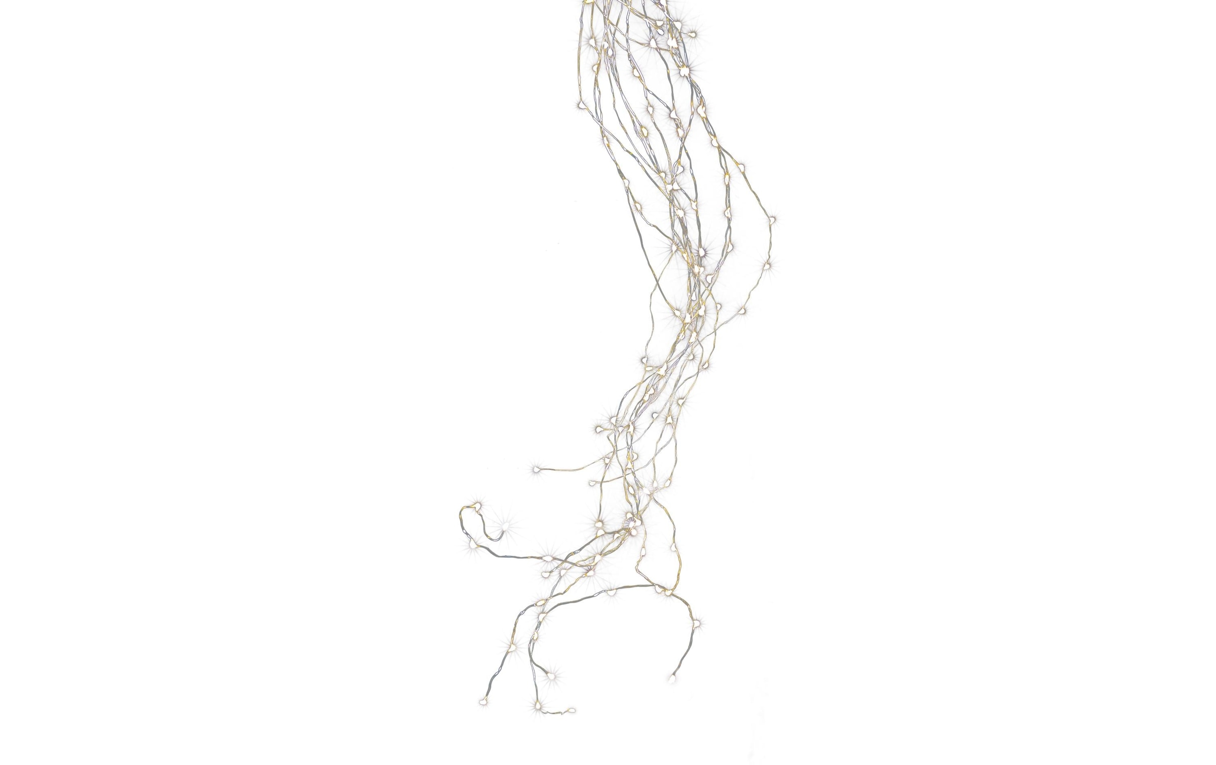 STT Guirlande lumineuse LED »Lichterkette Angel Hair Bouquet 1 m 60«