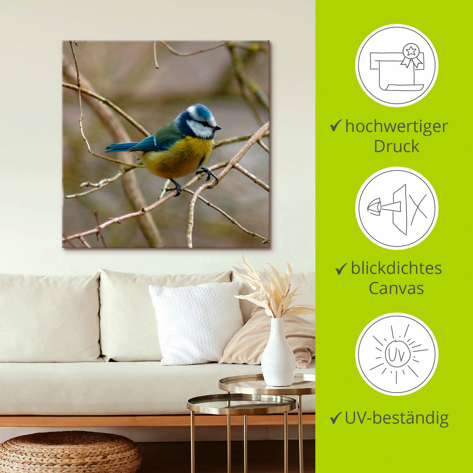 Artland Tableau sur toile »Blaumeise« 1 cuis tlg. auf Holzrahmen gespannt