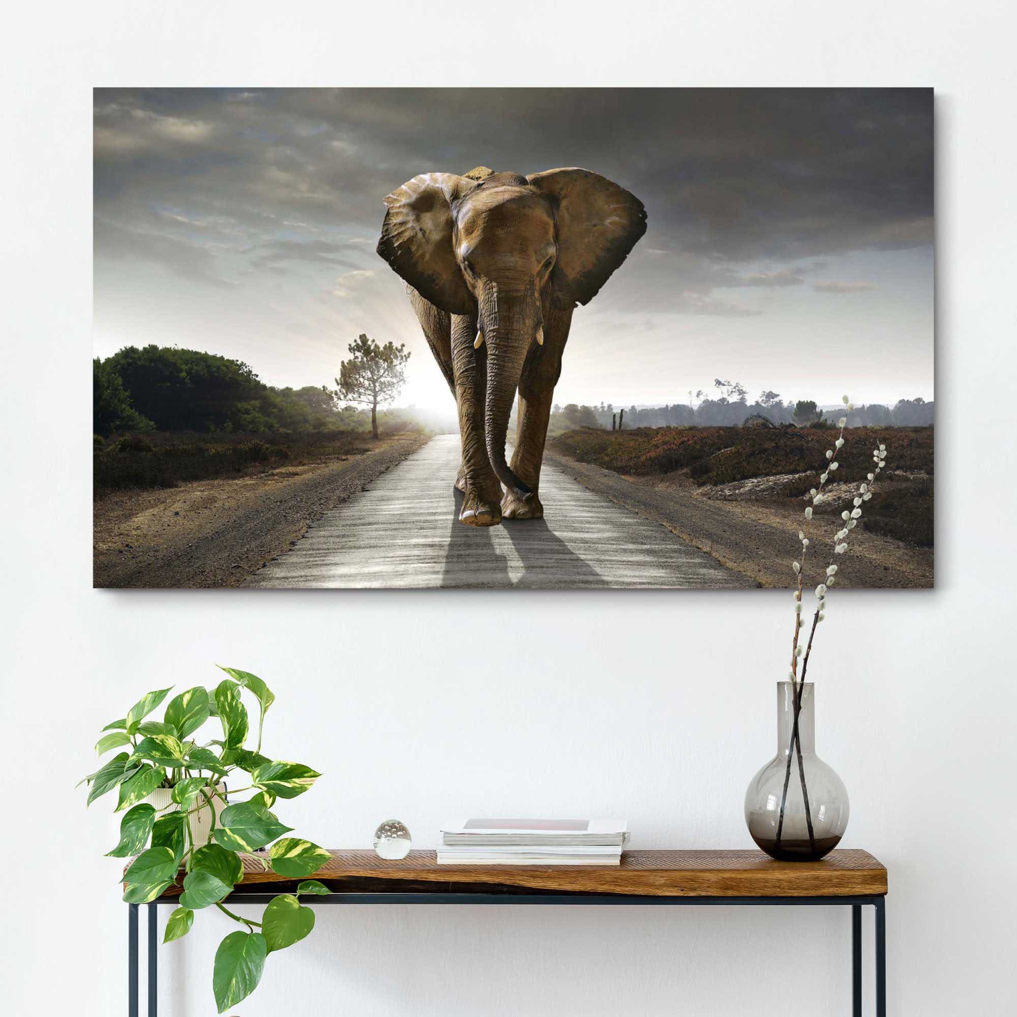 »Elefant König« Wandbild Reinders! jetzt kaufen