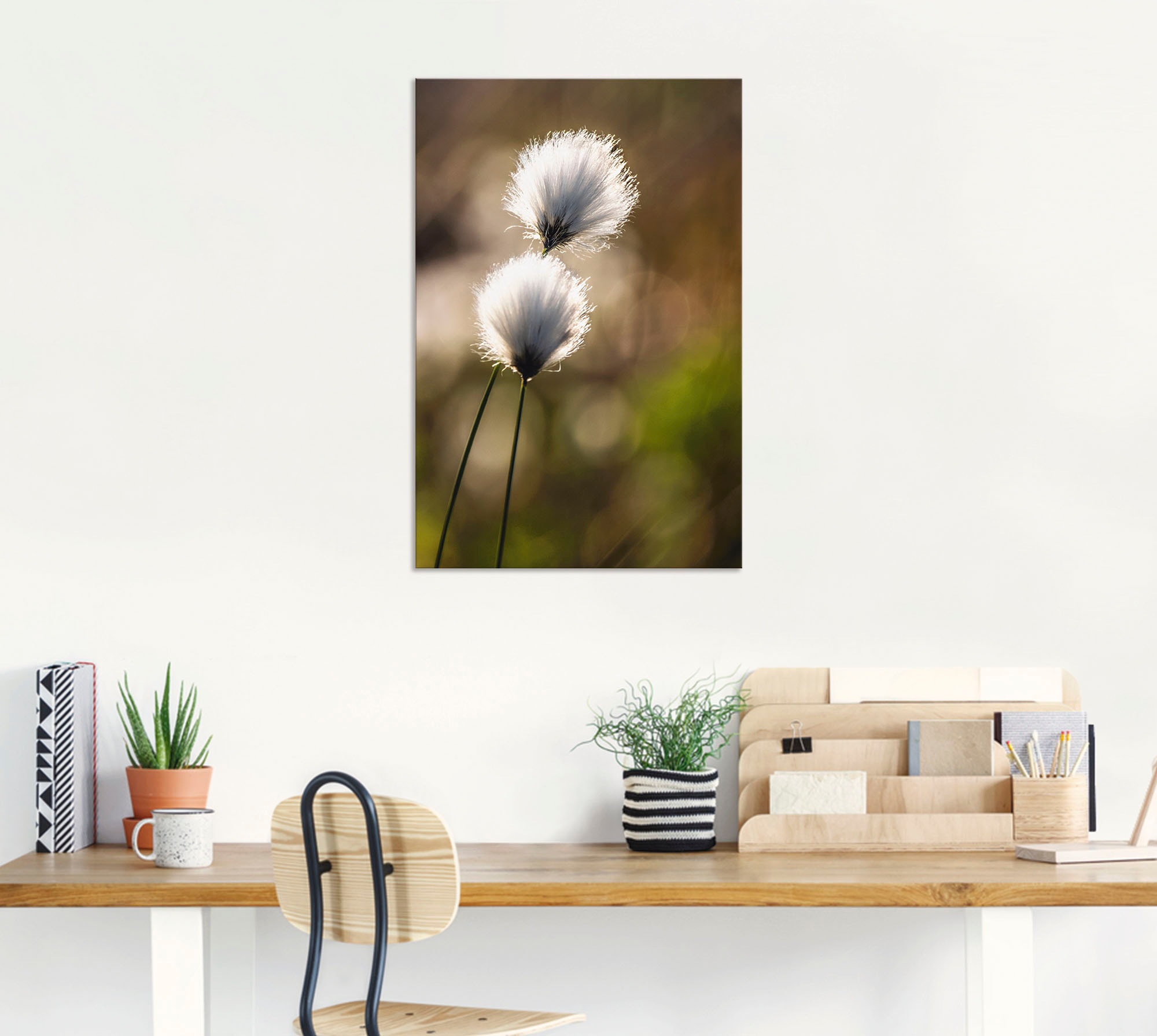 Artland Wandbild »Wollgras I«, Gräser, (1 St.), als Alubild, Outdoorbild, Leinwandbild, Poster in verschied. Grössen
